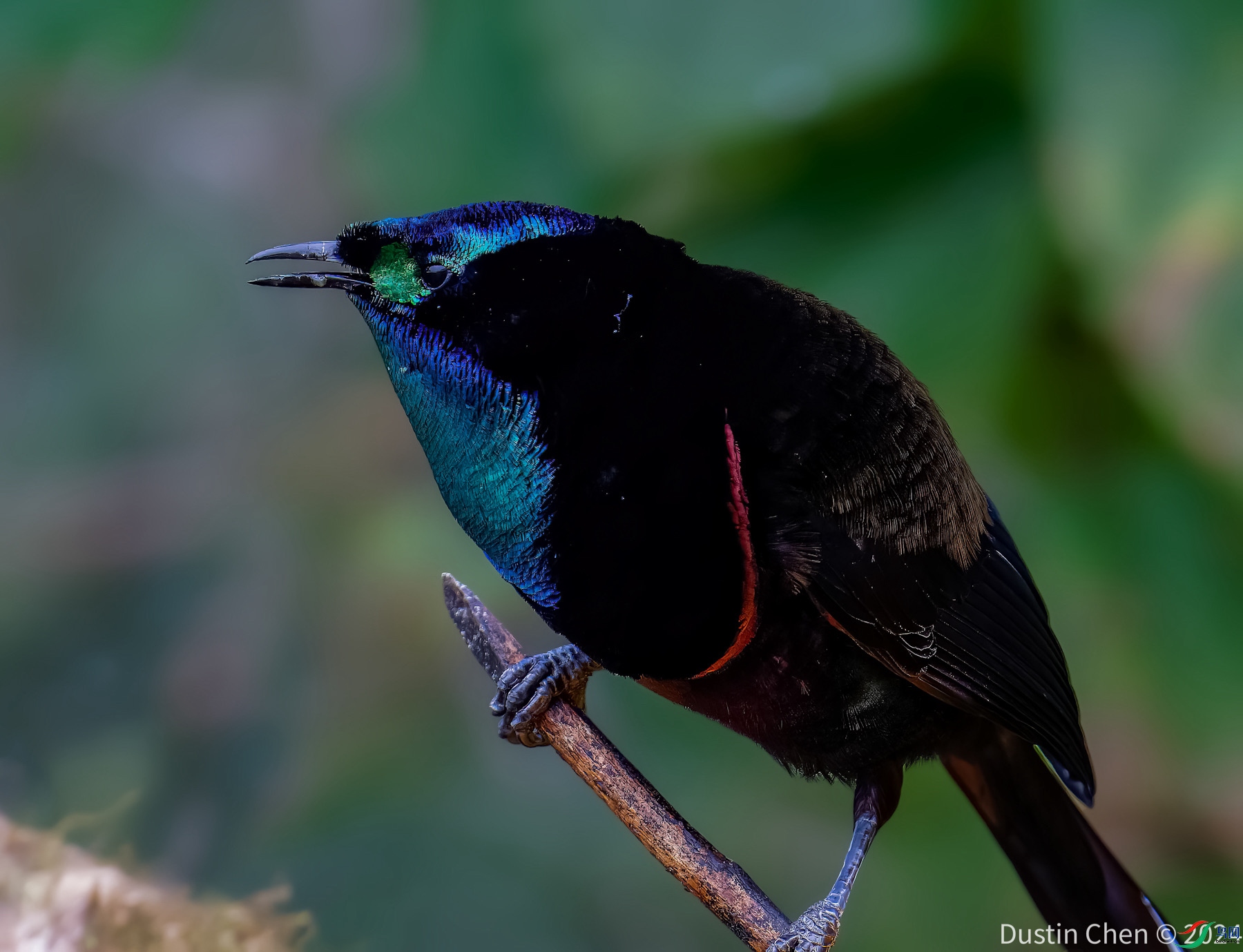 ������β�������� ����ɽ������������Ʒ�� �Ͳ����¼�����������