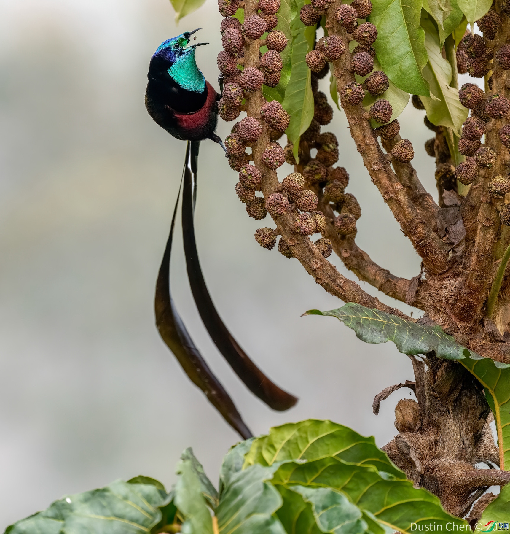 ������β�������� ����ɽ������������Ʒ�� �Ͳ����¼�����������