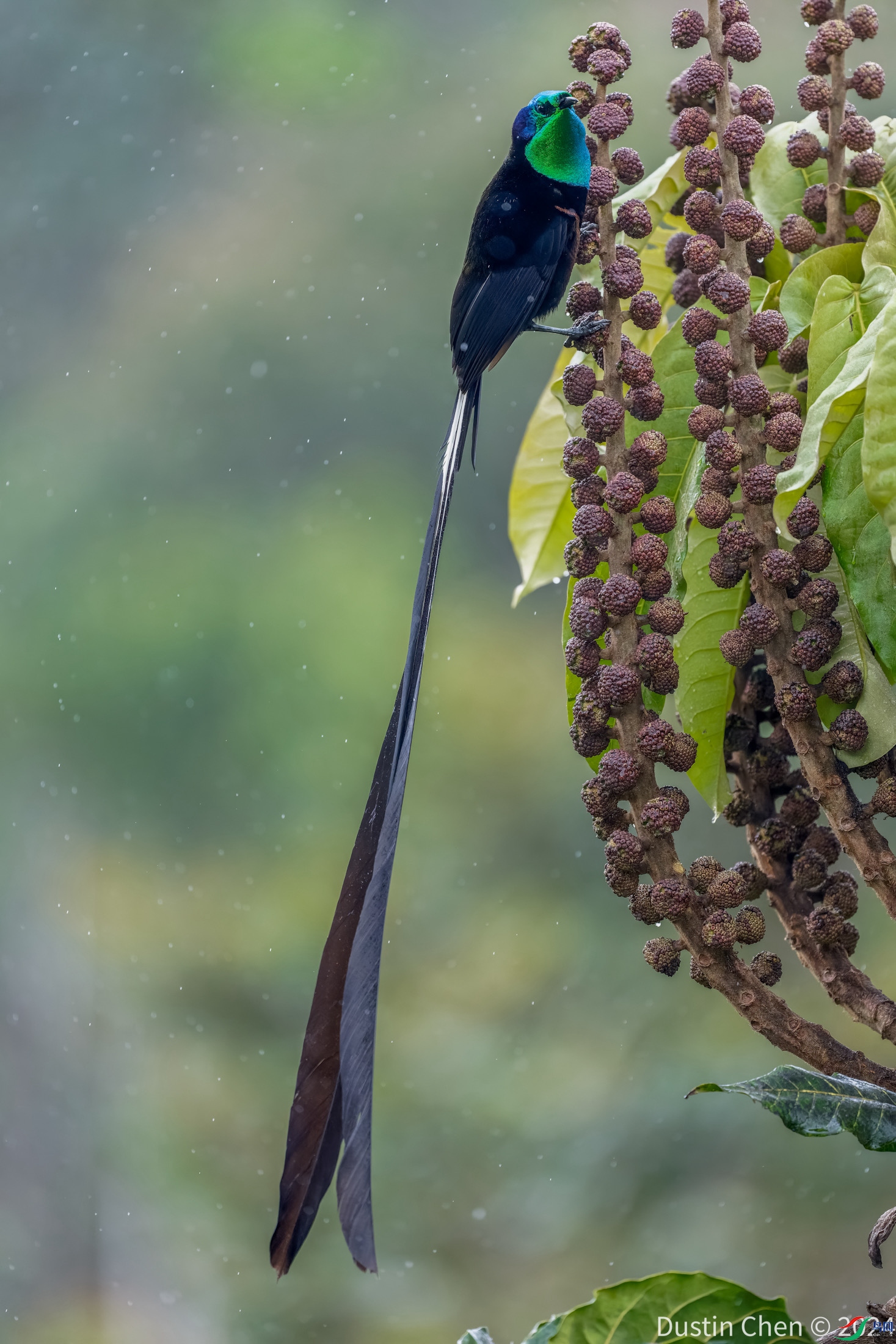 ������β�������� ����ɽ������������Ʒ�� �Ͳ����¼�����������