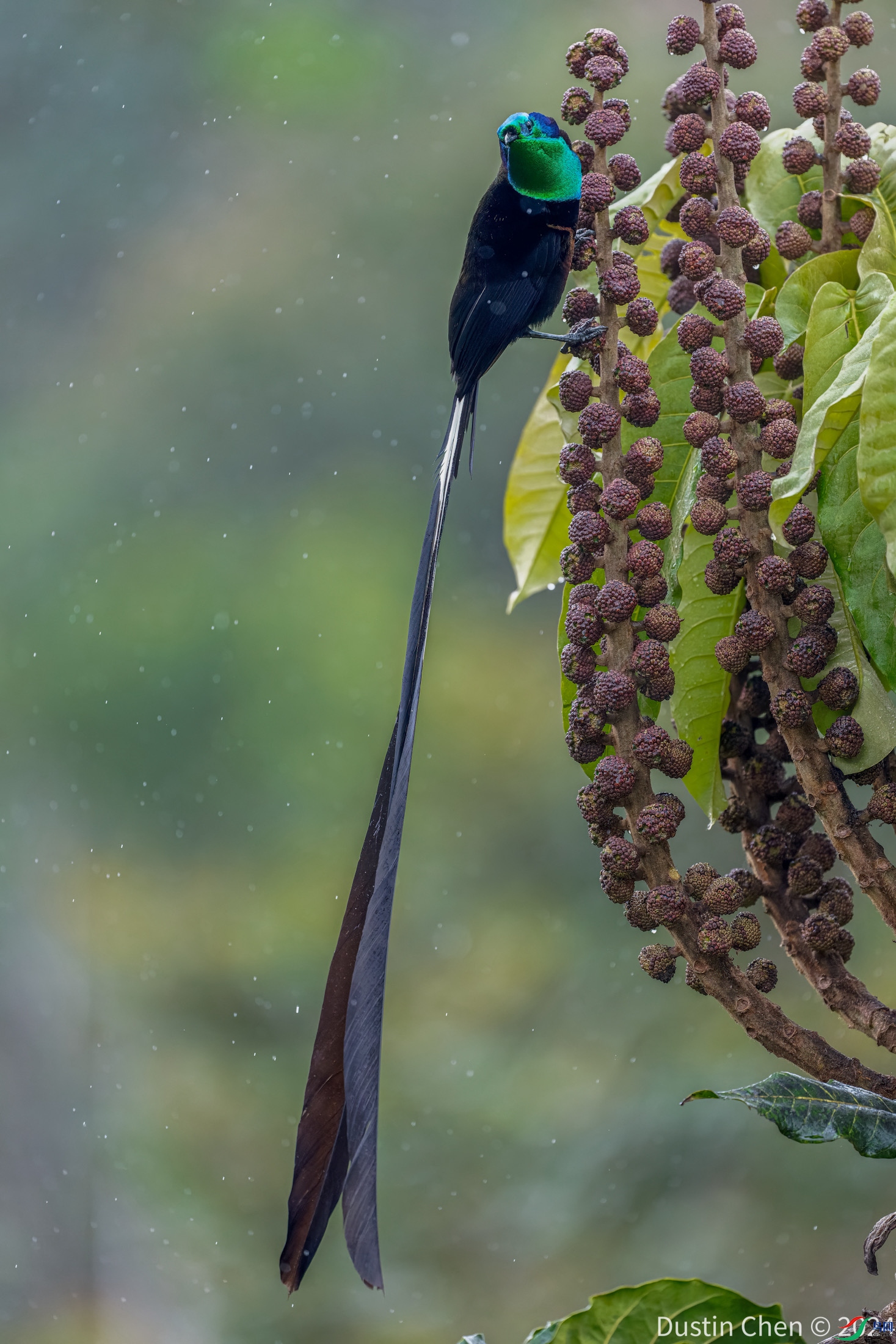 ������β�������� ����ɽ������������Ʒ�� �Ͳ����¼�����������