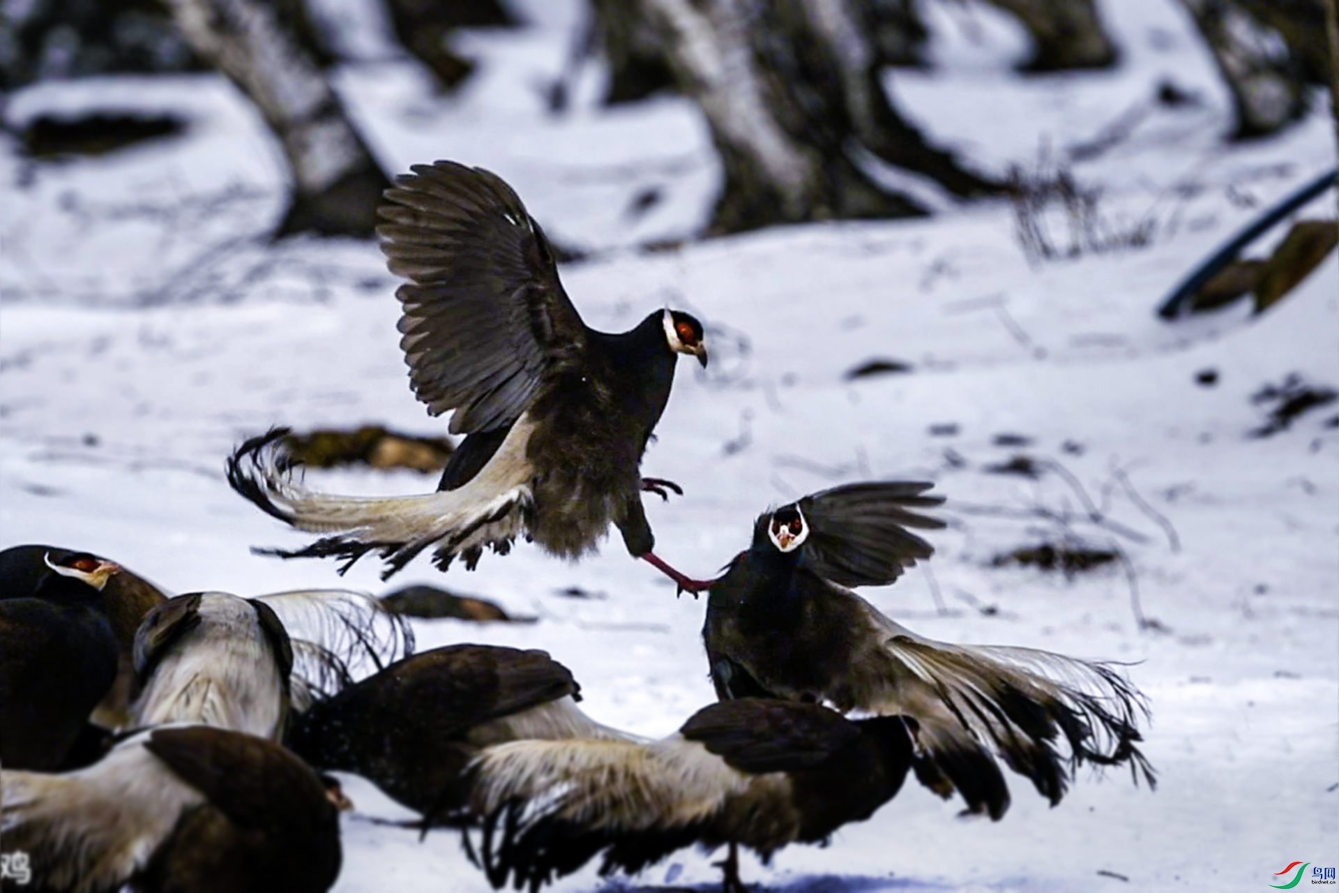 DSC_0159 ���� 2.jpg