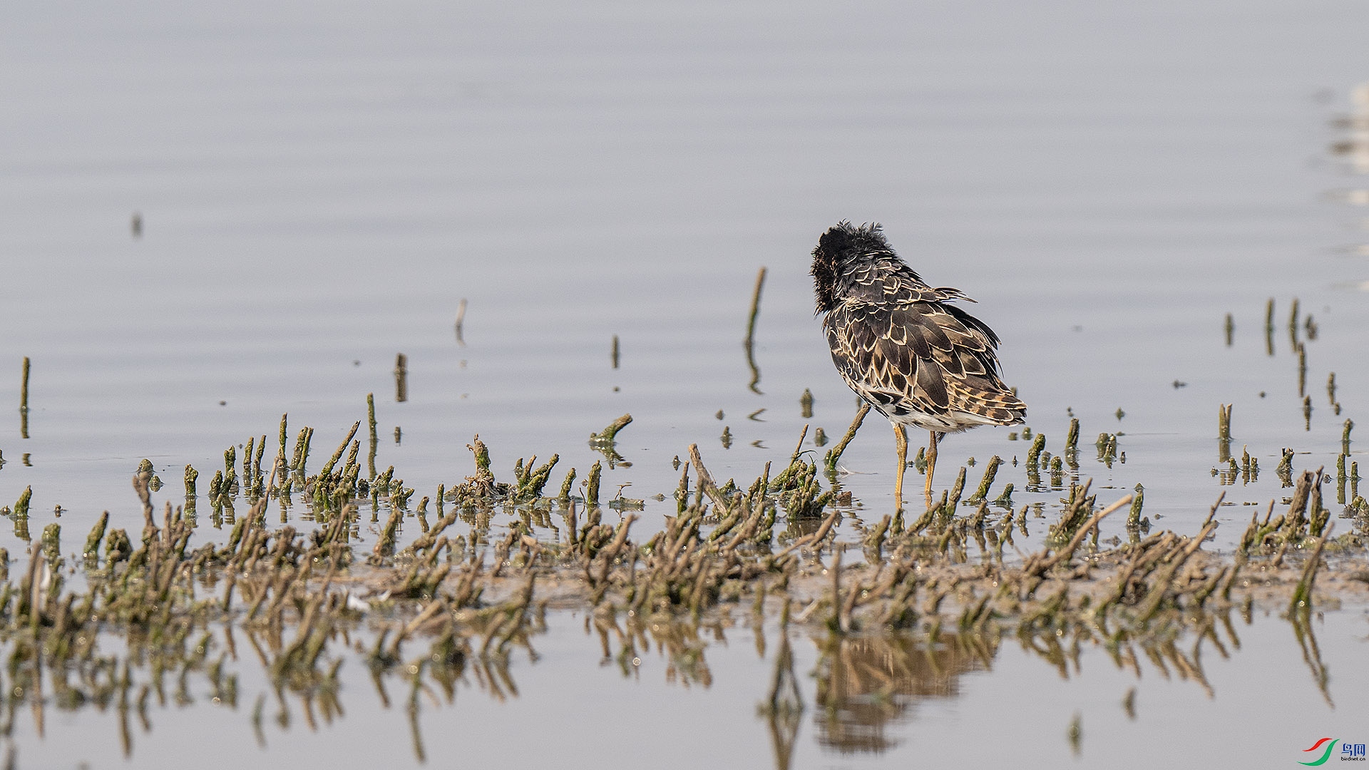 DSC_6752.jpg