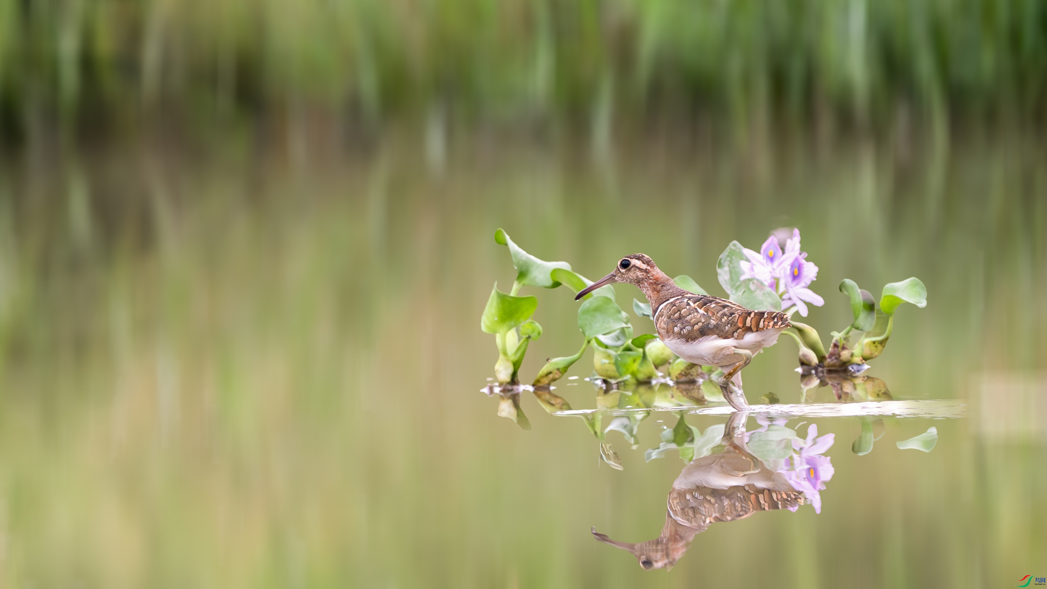 ΢��ͼƬ_20240927164913 ����.jpg