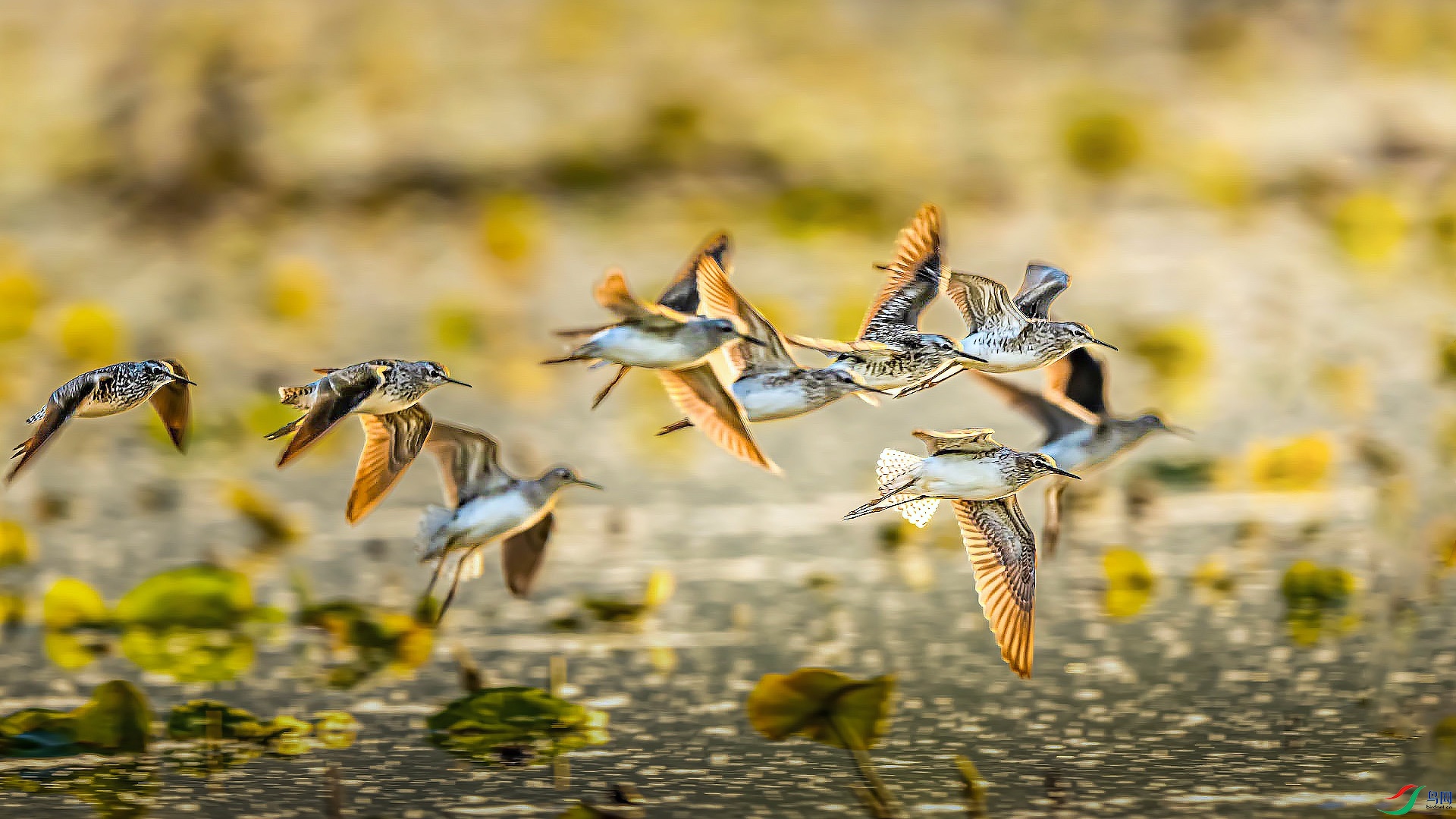 1_XXI0767_1 ����.jpeg