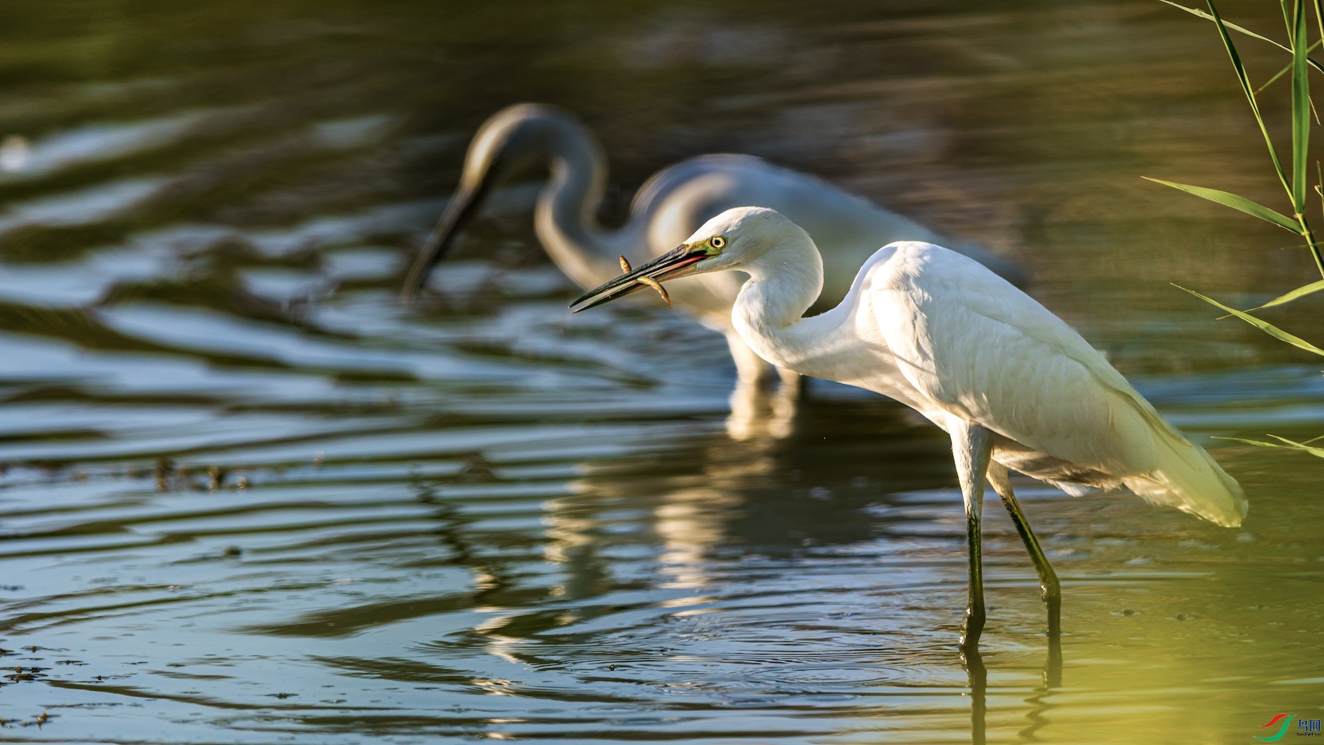 1_XXI1095-1 ����.jpeg