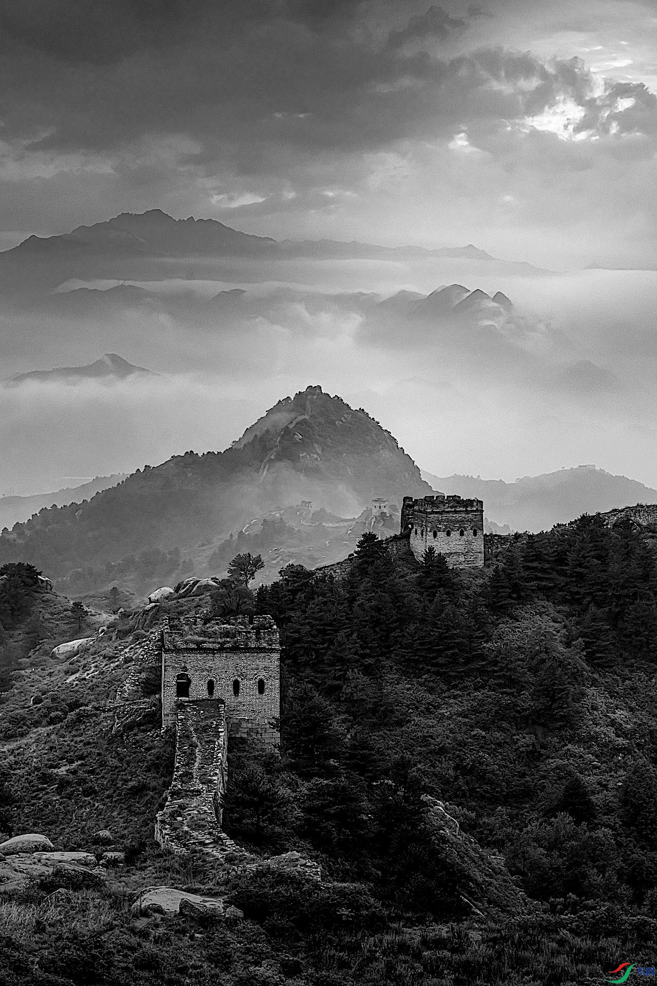 1_XXL3977-1 ����.jpeg