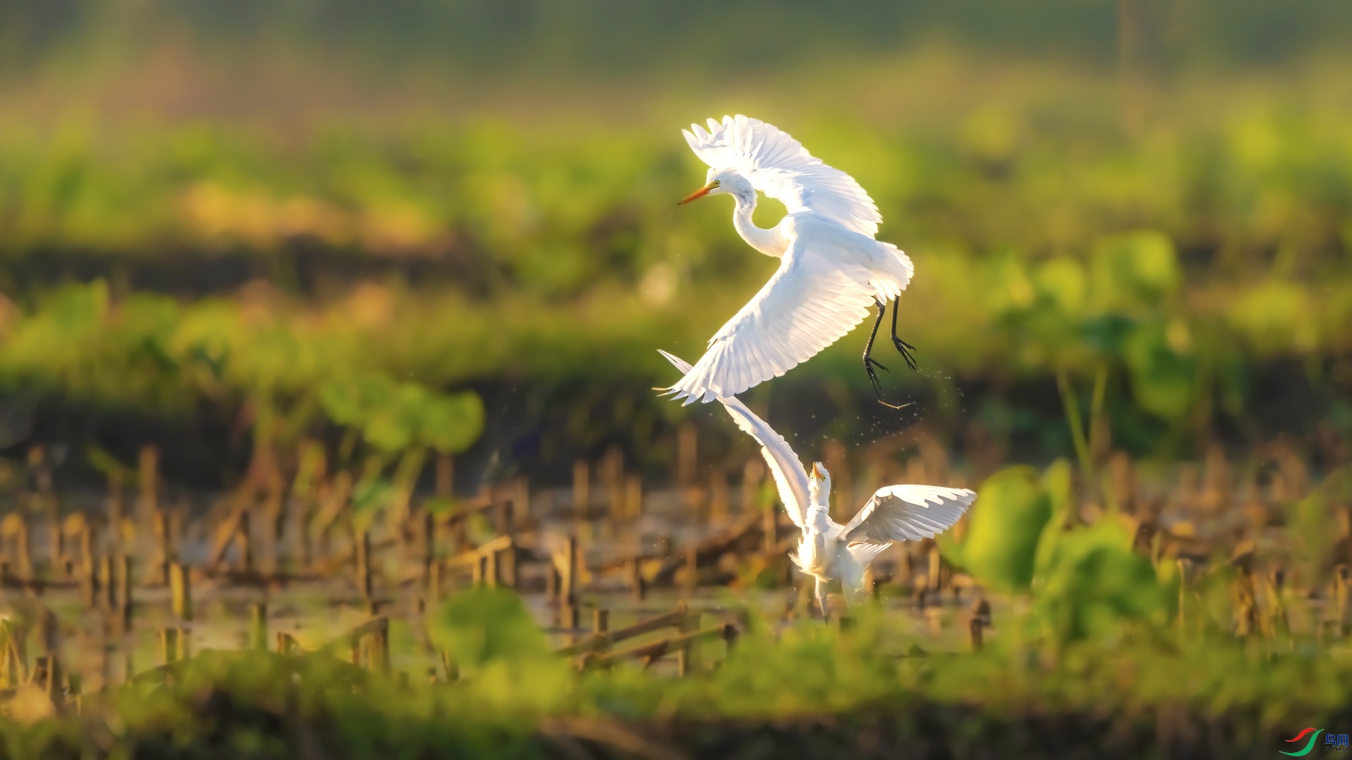 1`_XXL0531-1 ����.jpeg