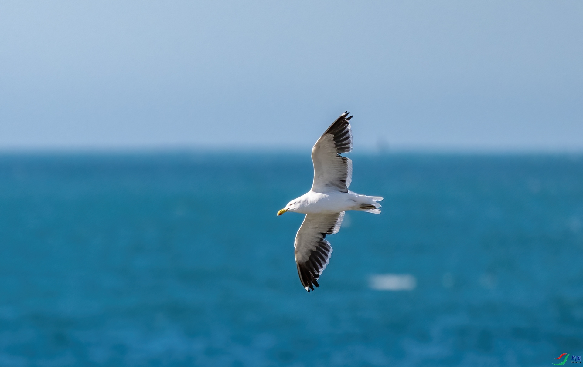 DSC_5452-1.jpg