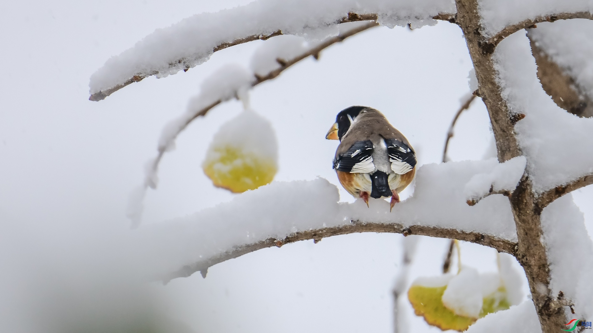 1XXL_1440 ����.jpeg