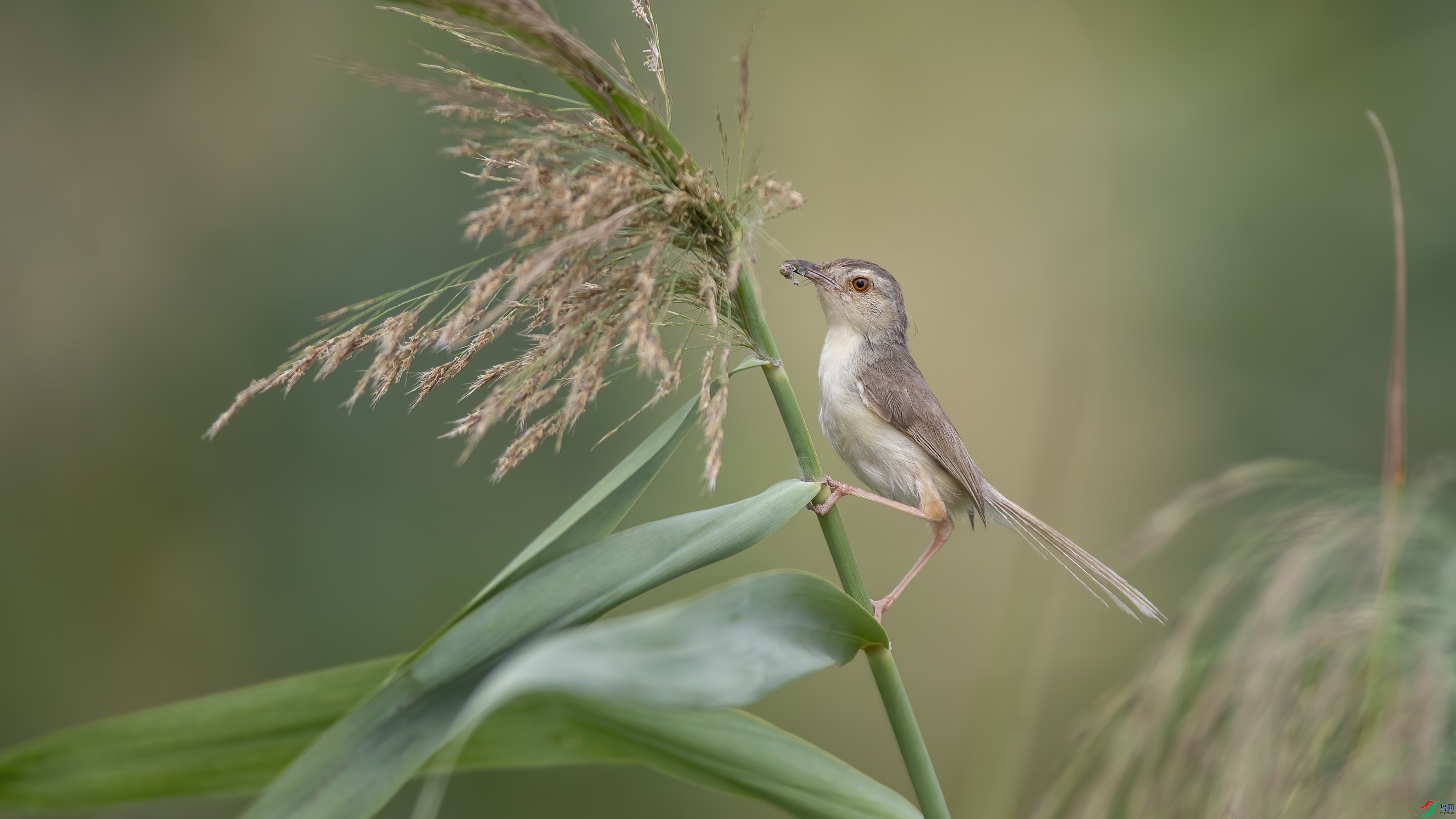 IMG_4035.jpg