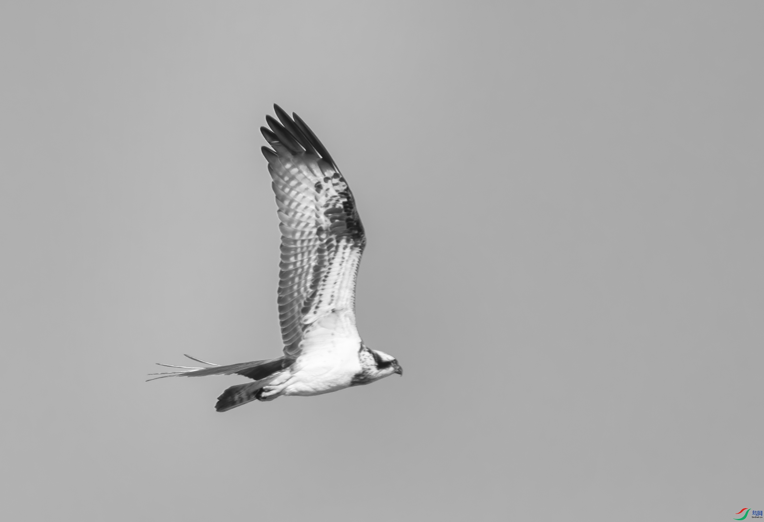 DSC07956 ����.jpg