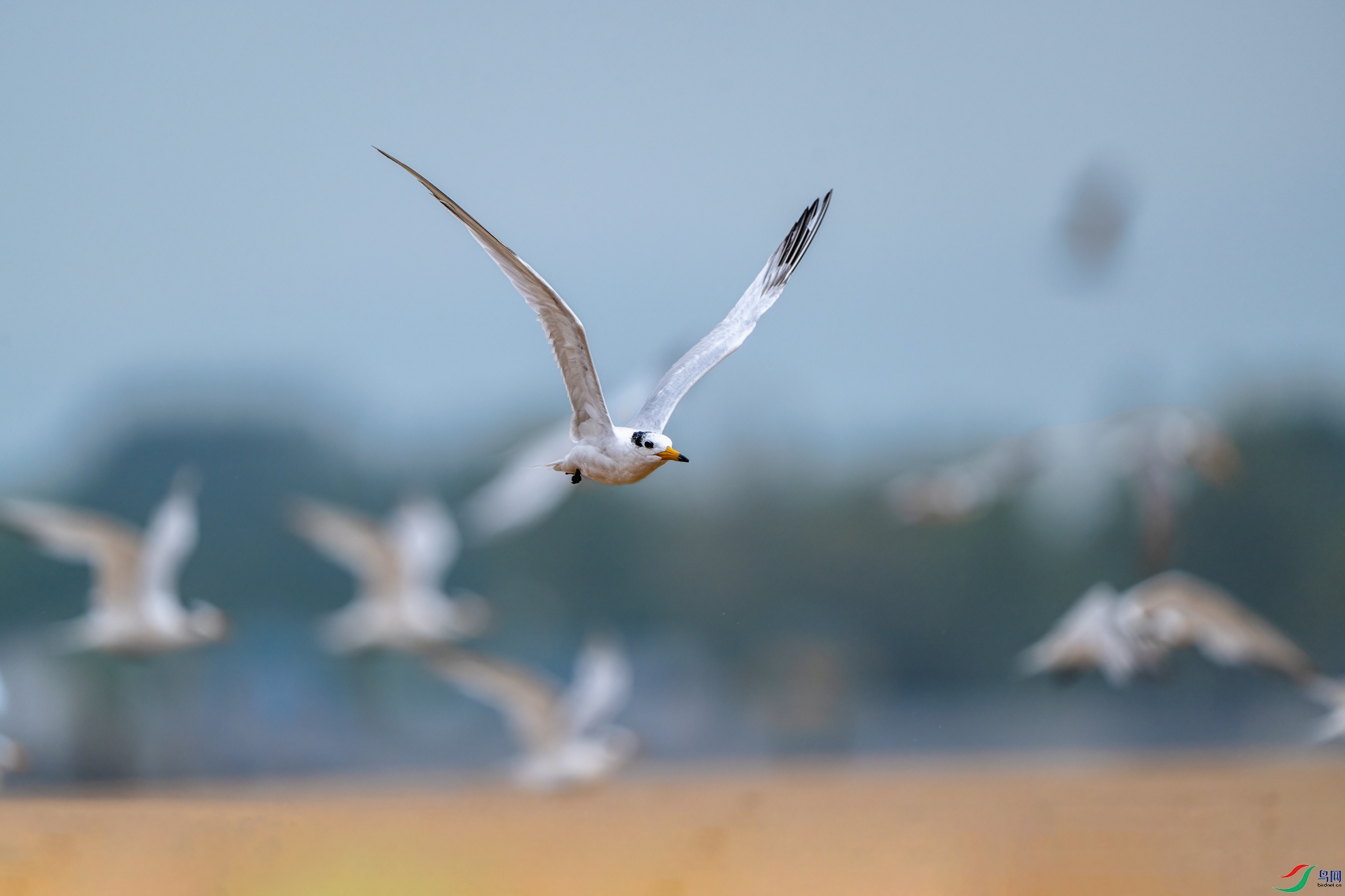 _DSC4152 ����.jpg