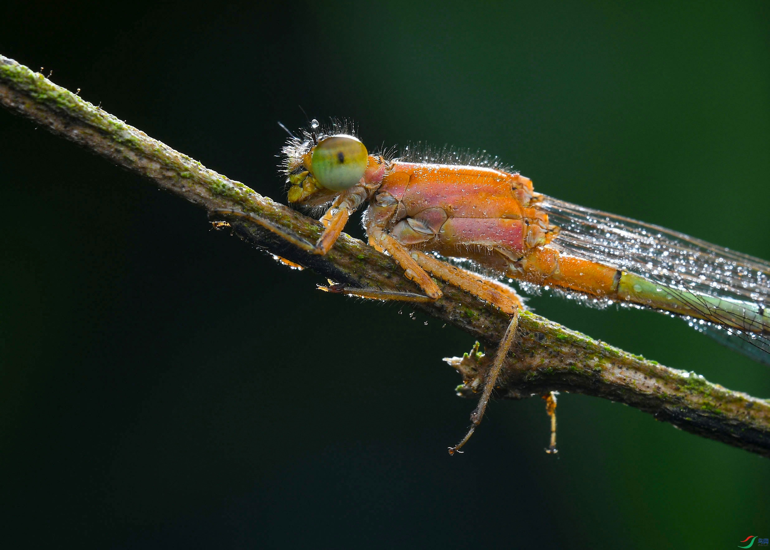 DSC_5034.jpg