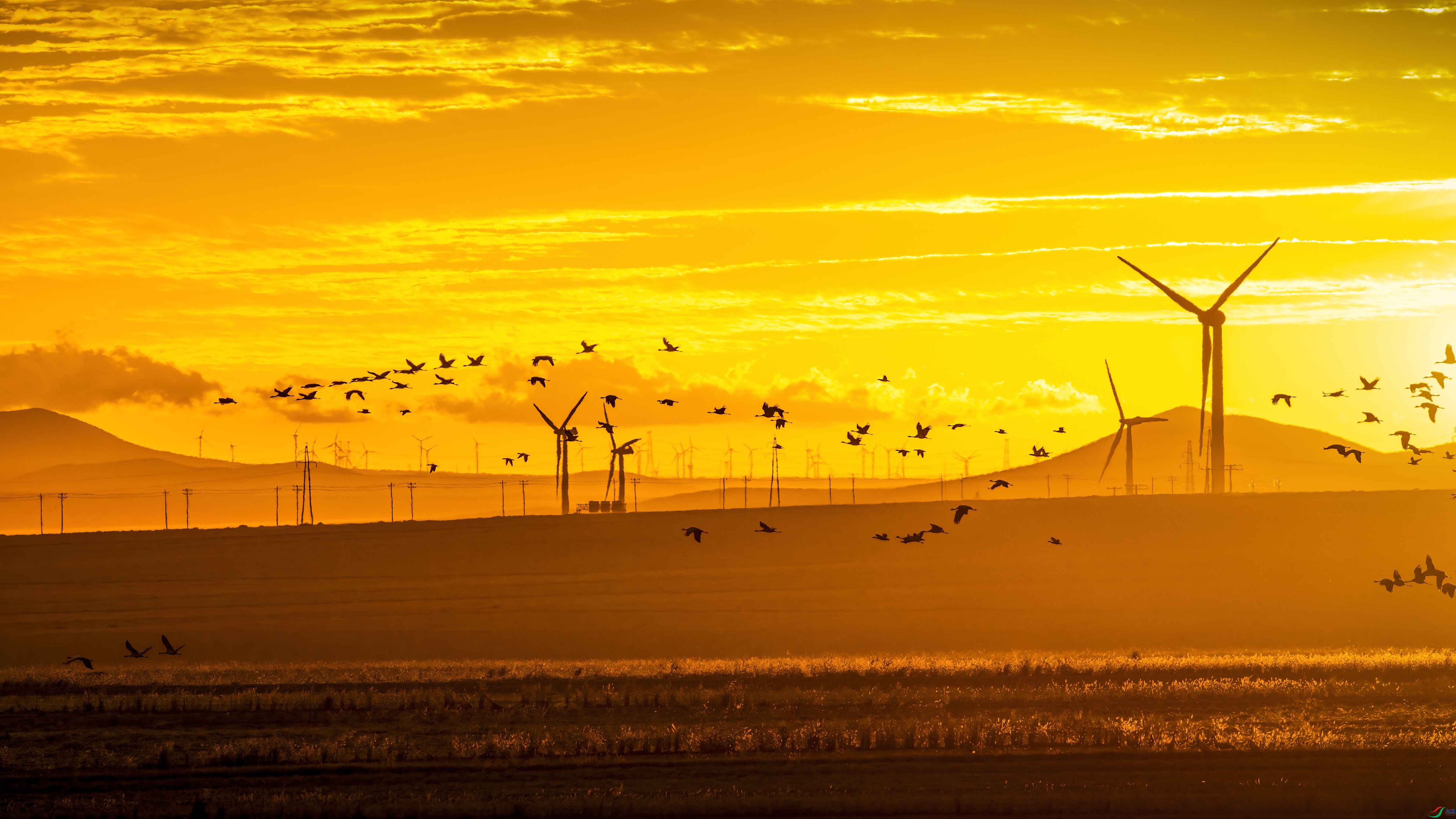 DSC_8343 ����.jpg