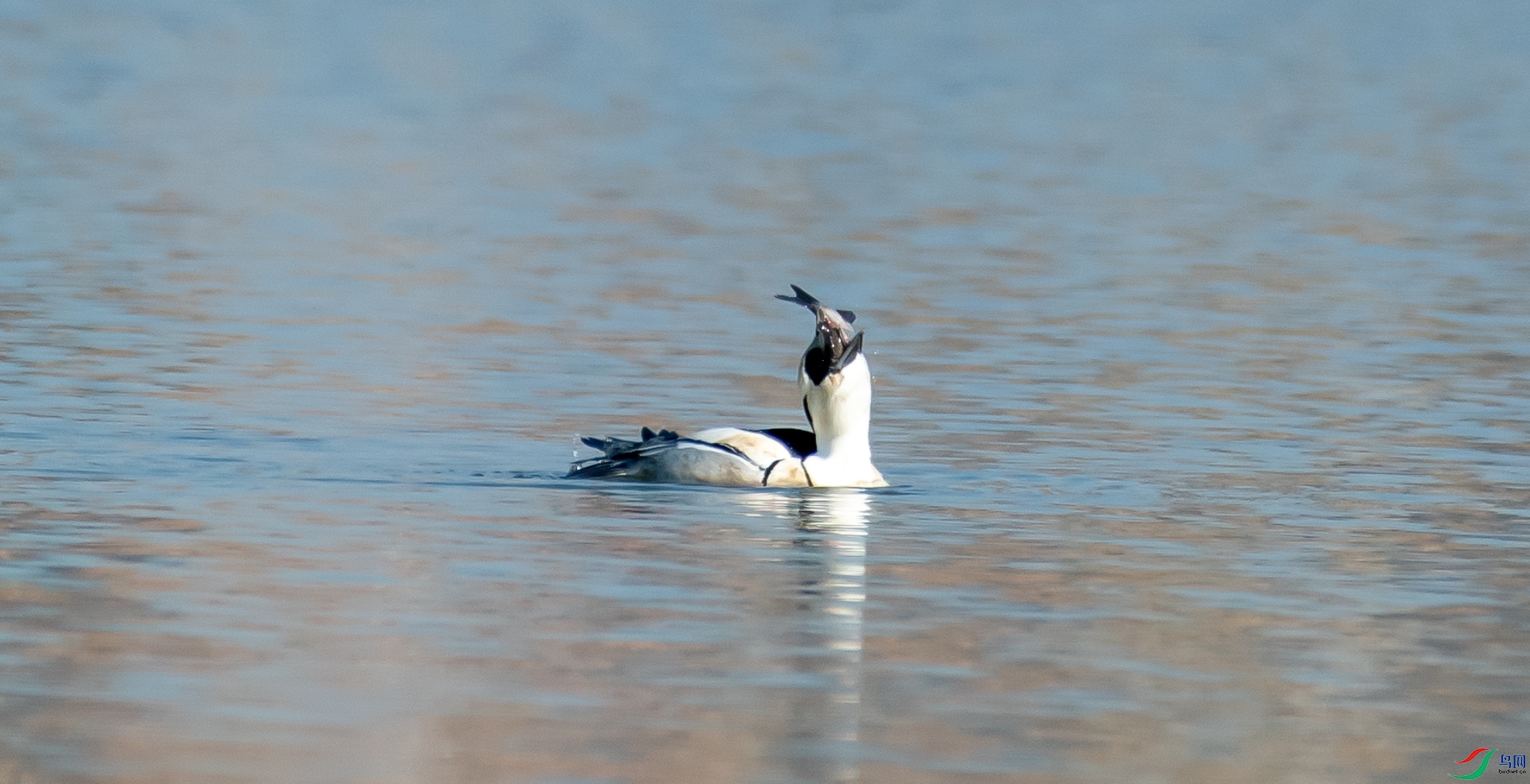 DSC_1461.jpg