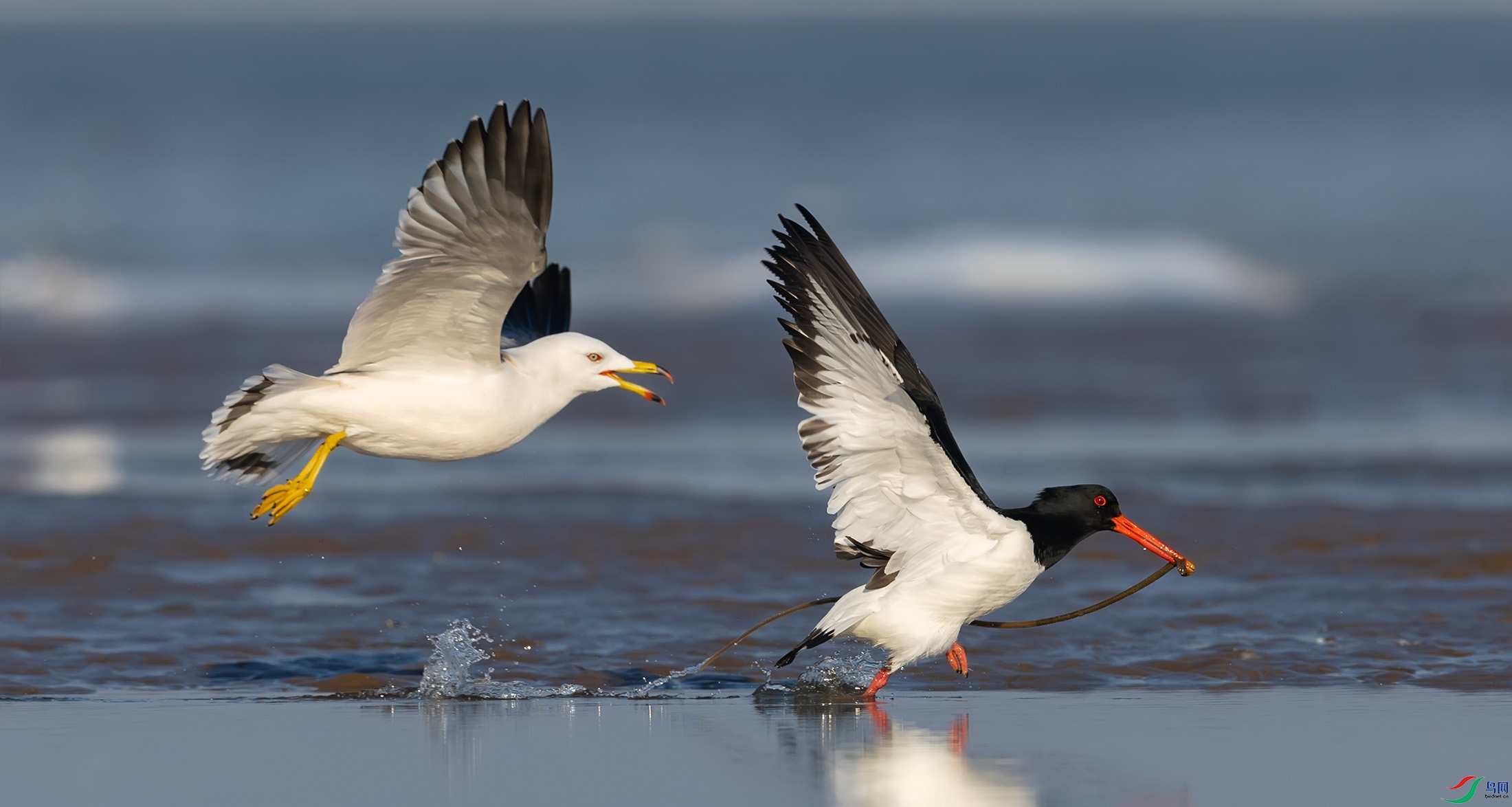 ��βŸ������