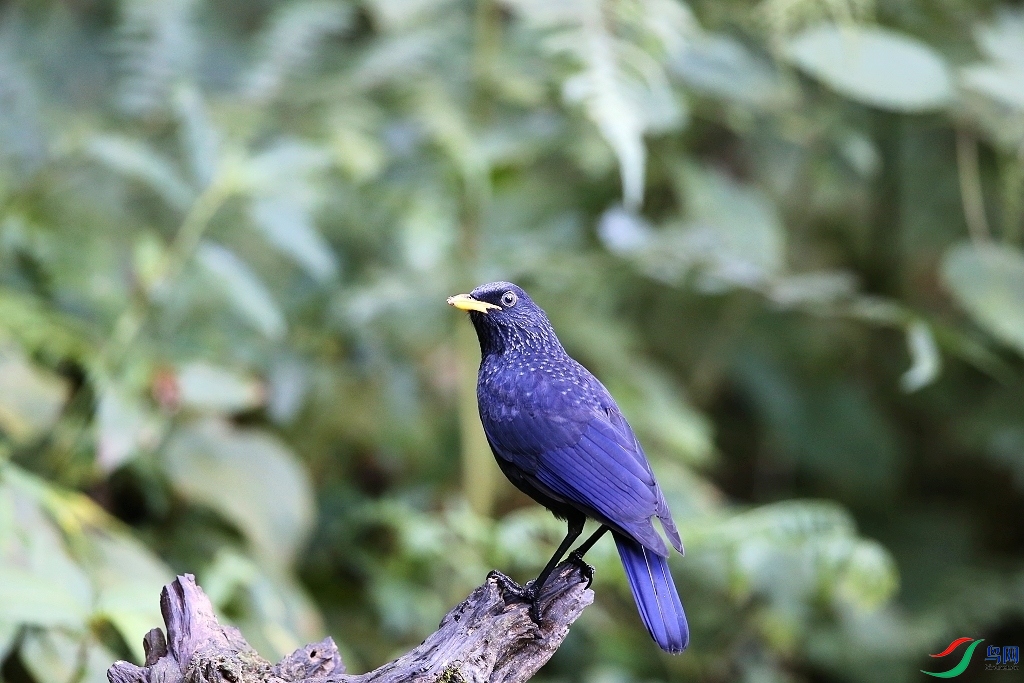 ���� IMGL1093.JPG