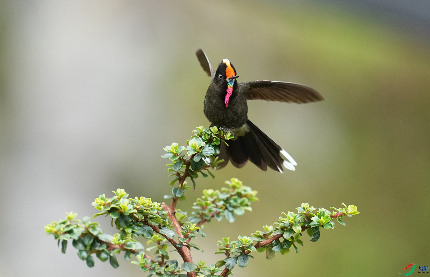 ����������2024.04.26���ױ��� DSC05506.jpg