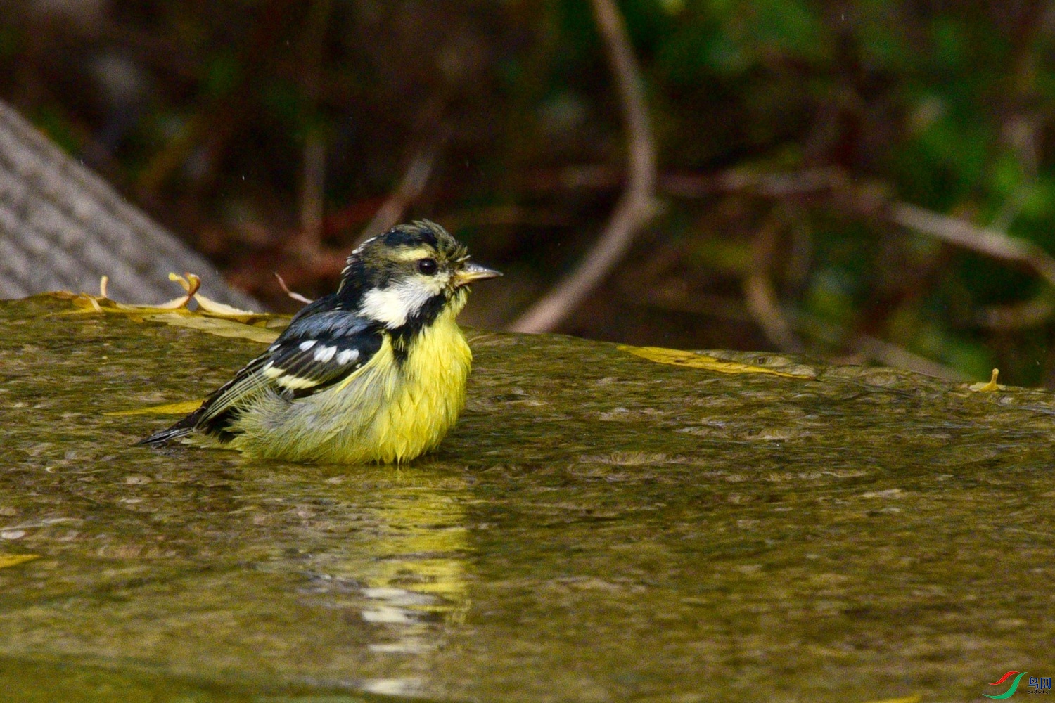 DSC_6404.JPG