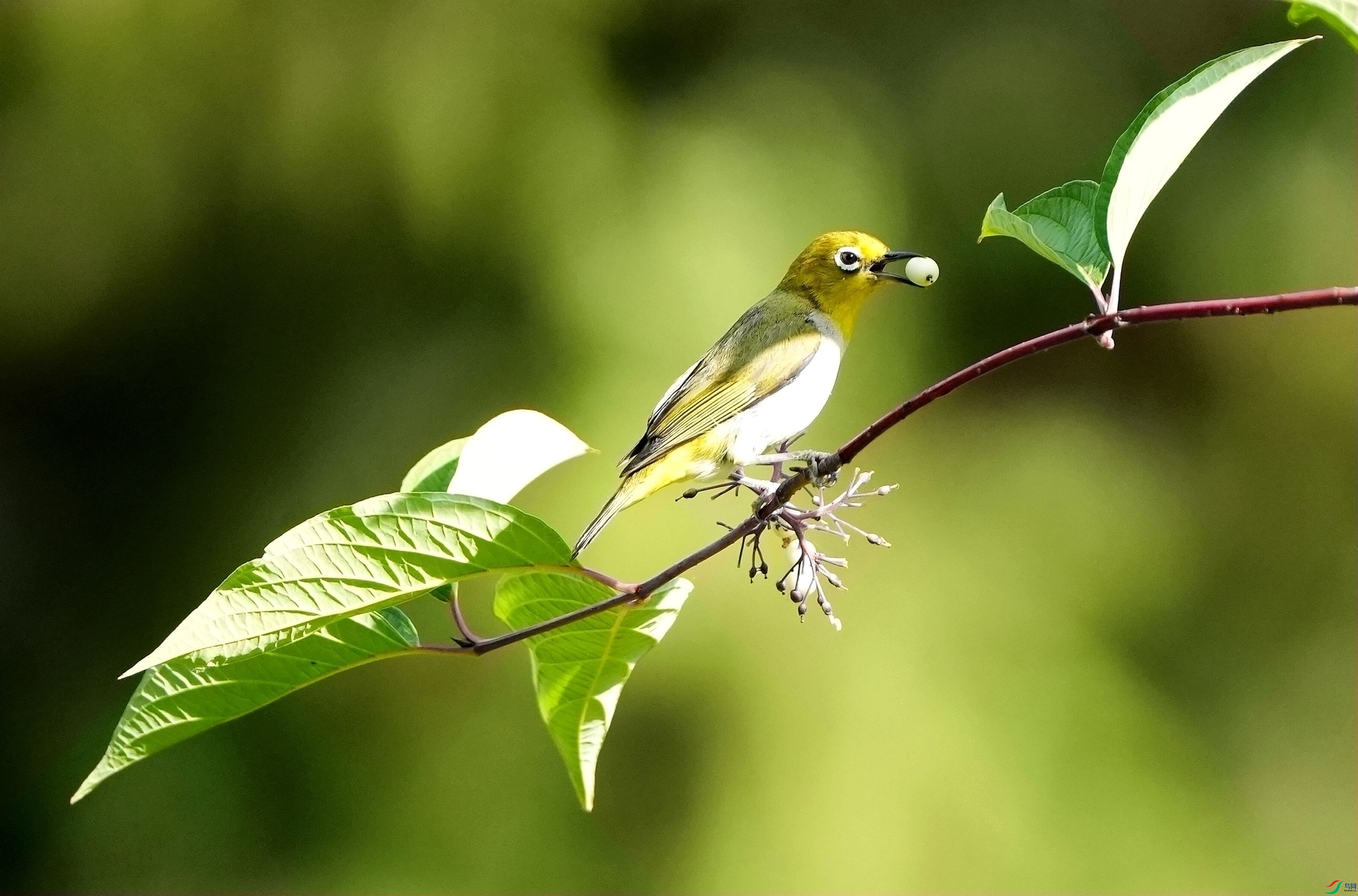 ���۽���DSC06280_����.jpg
