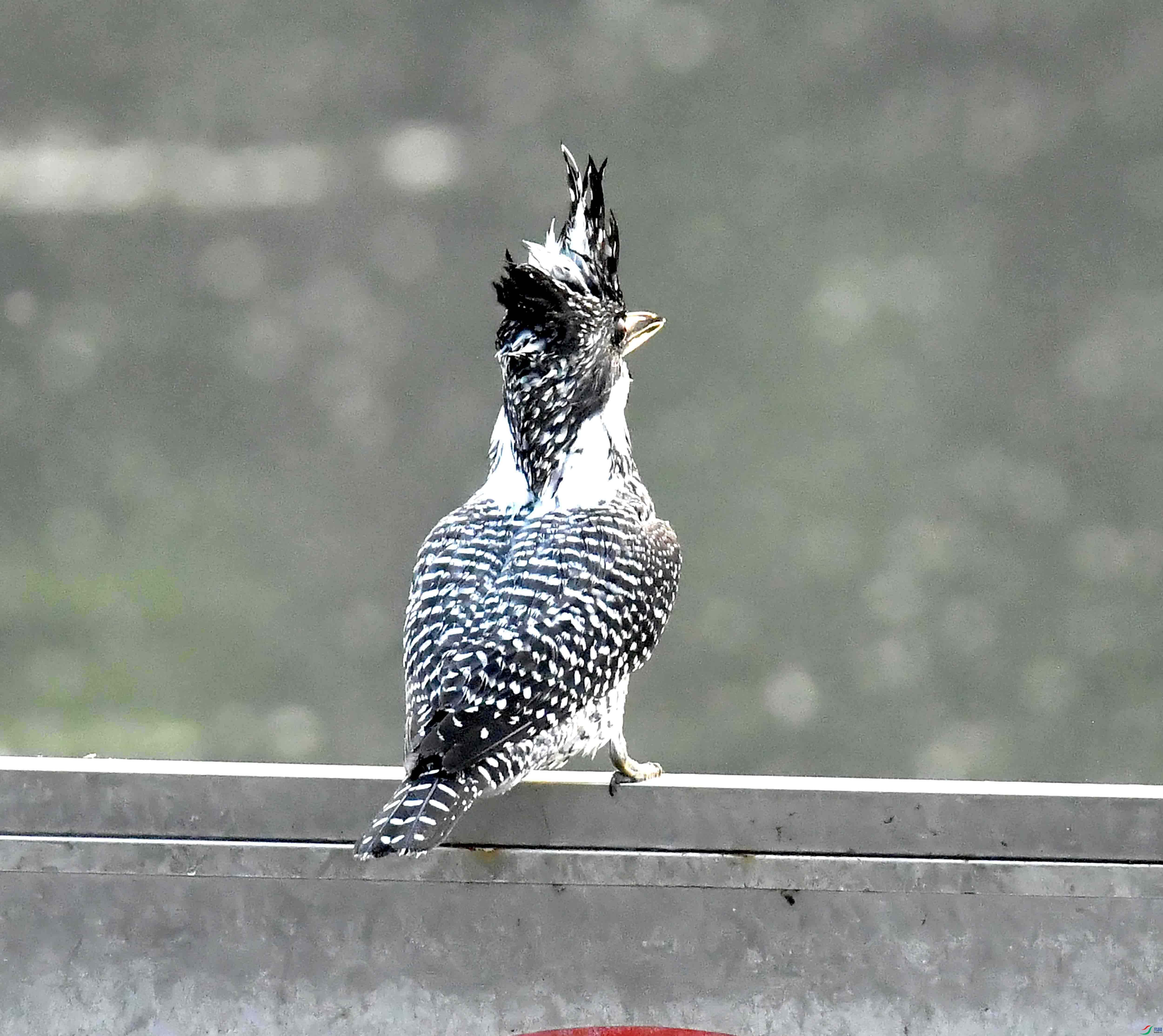 DSC_2157.JPG