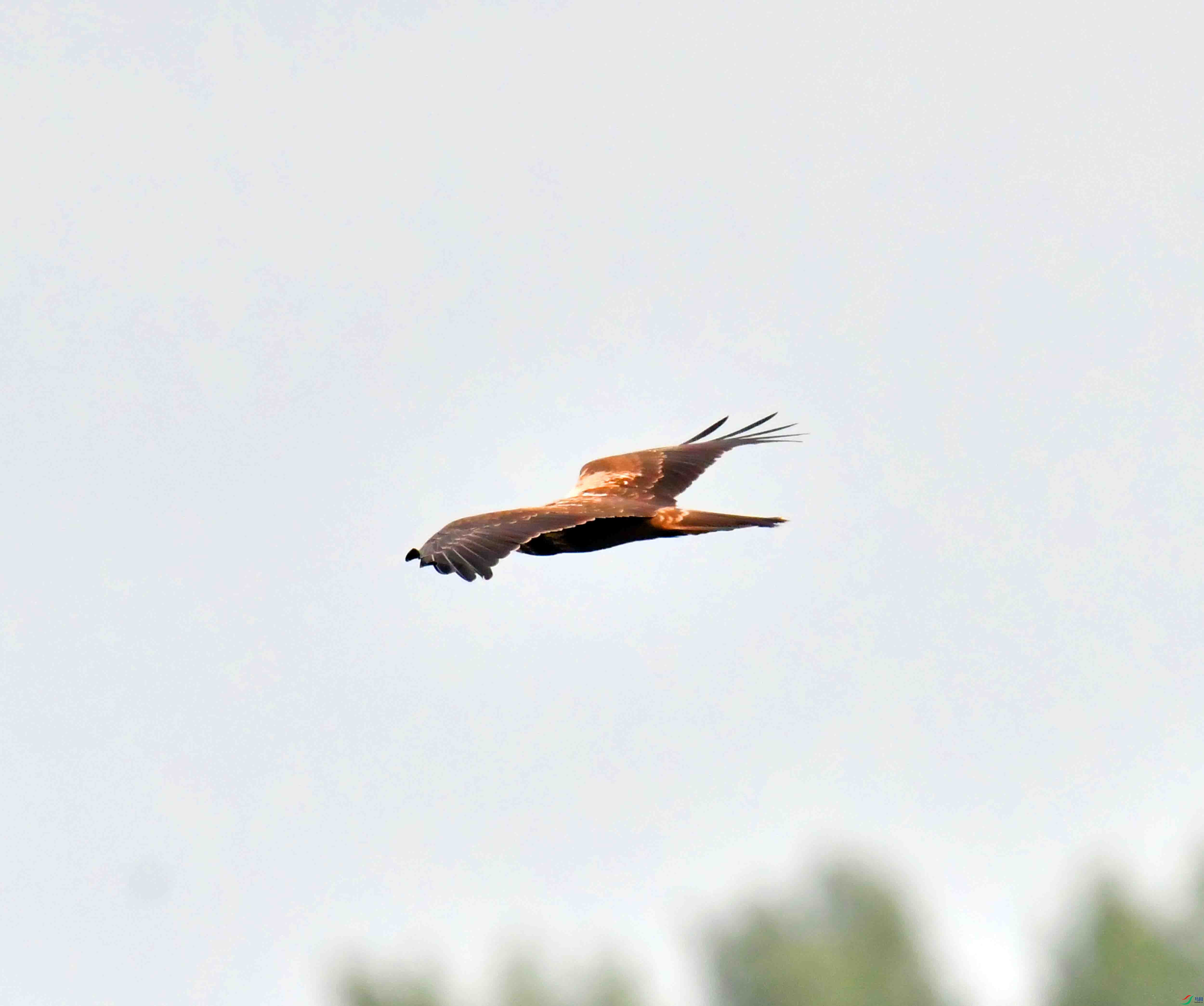 DSC_7607.JPG