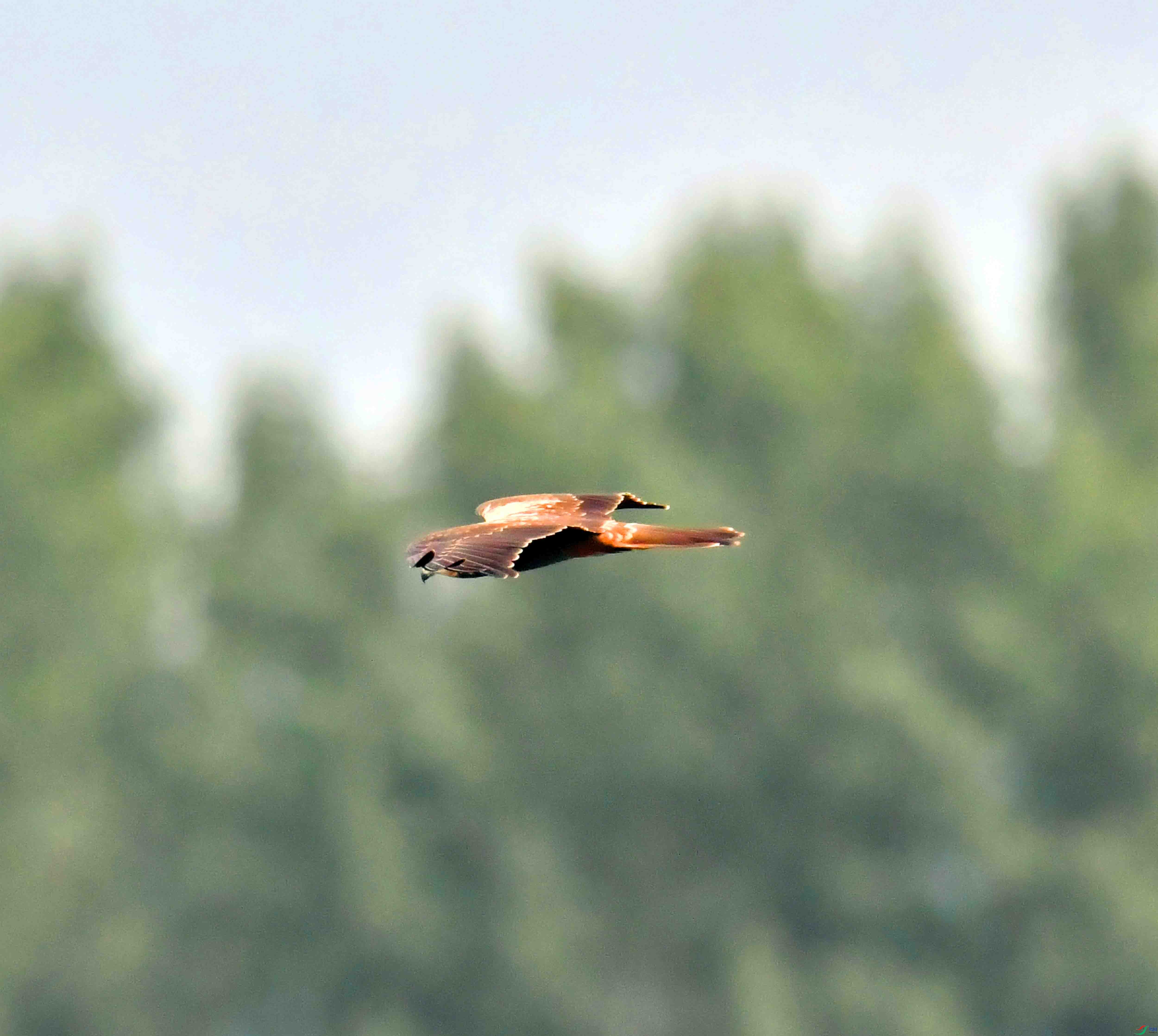 DSC_7608.JPG
