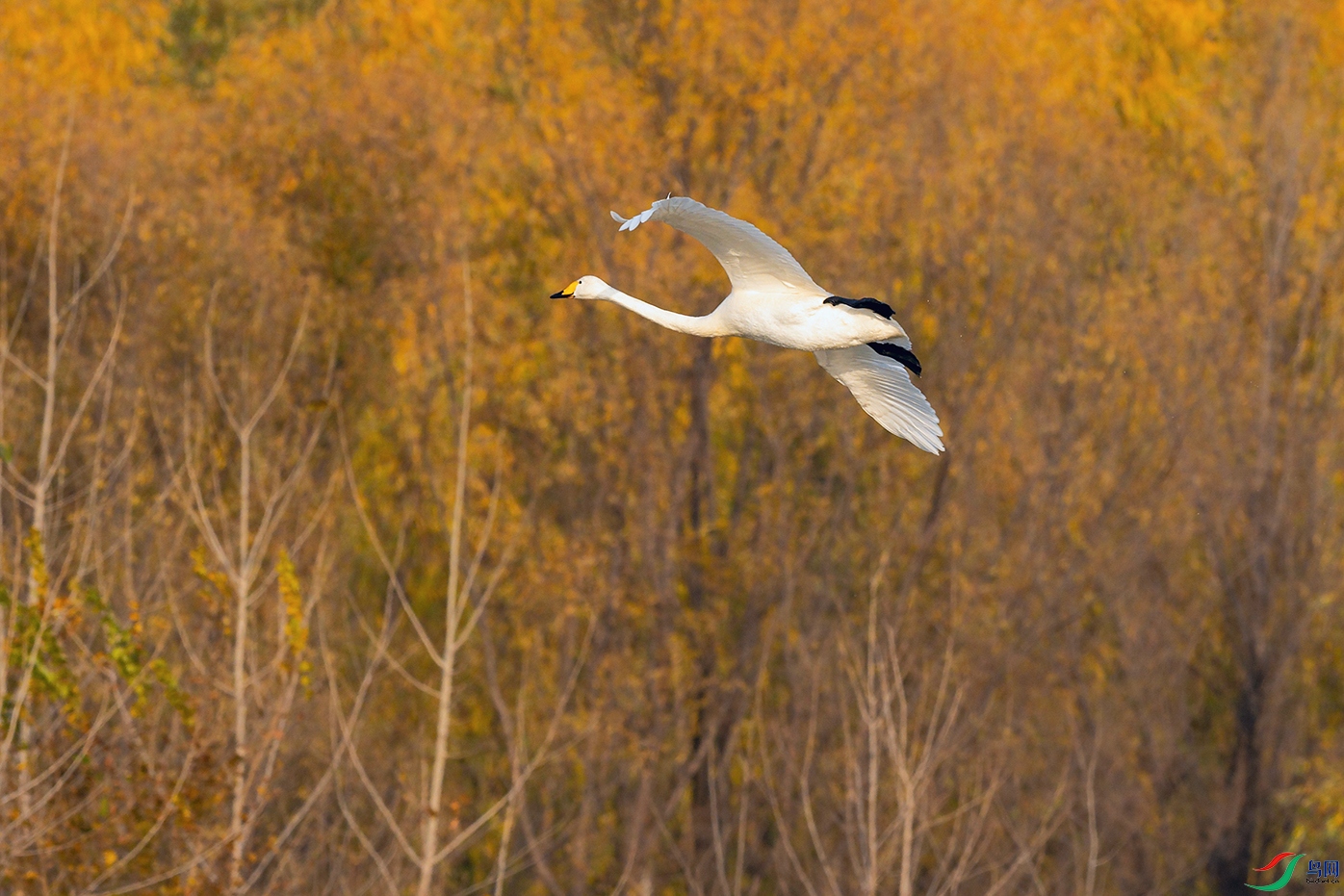 DSC_5103_DxOa.jpg