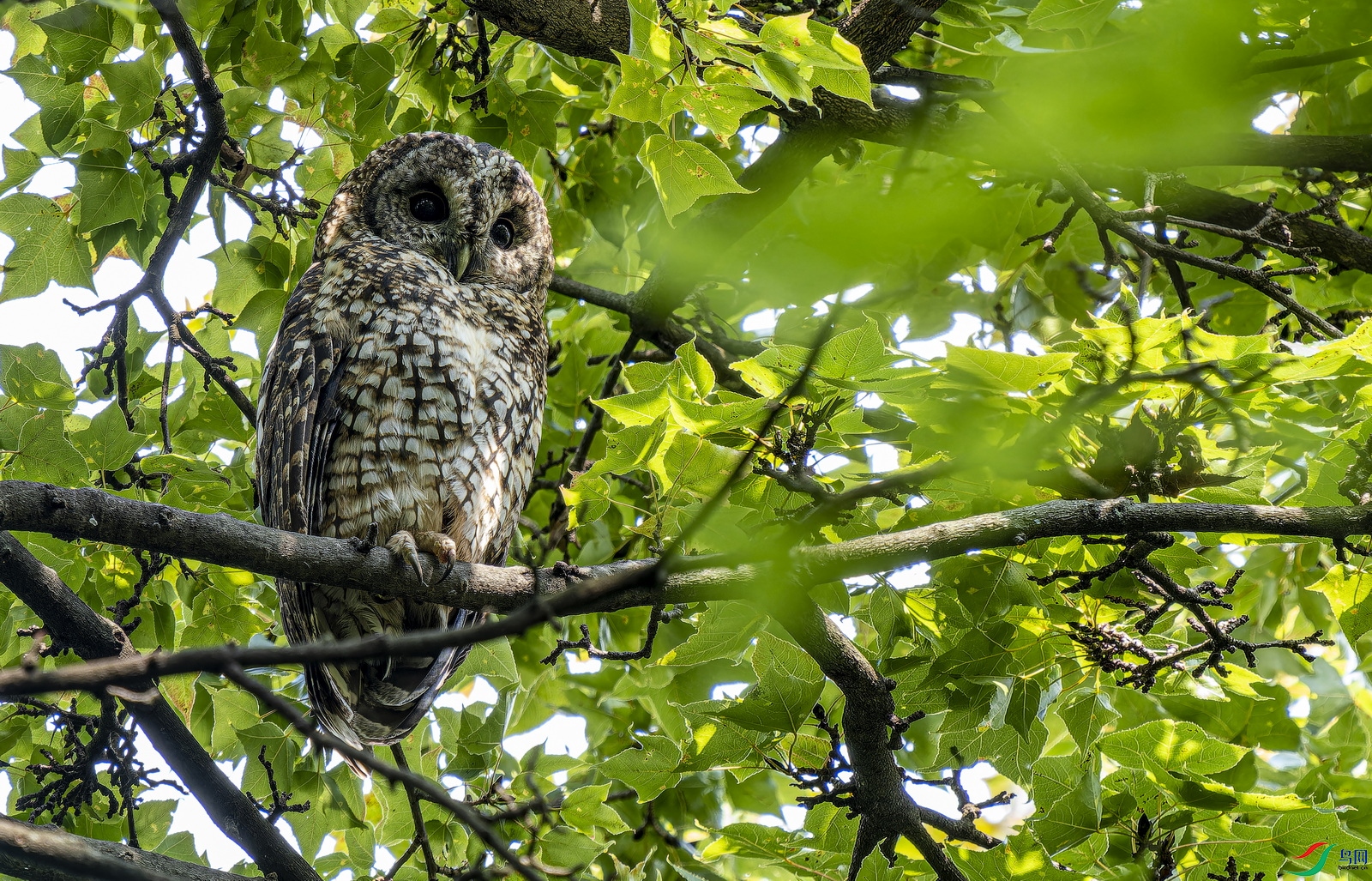 �����^ (3)-1.jpg