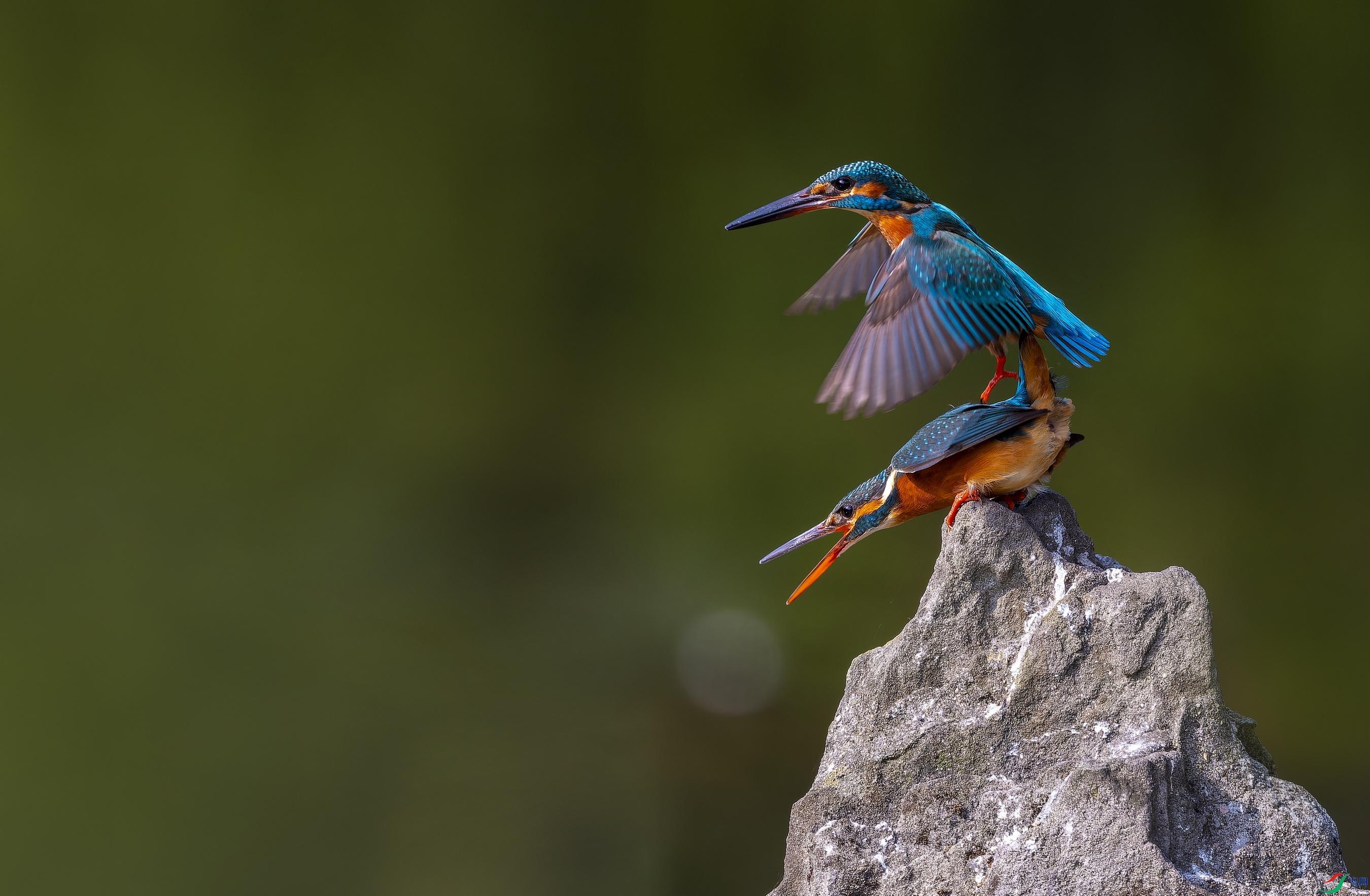 ��ͨ���񣨶��� (59)-1.jpg