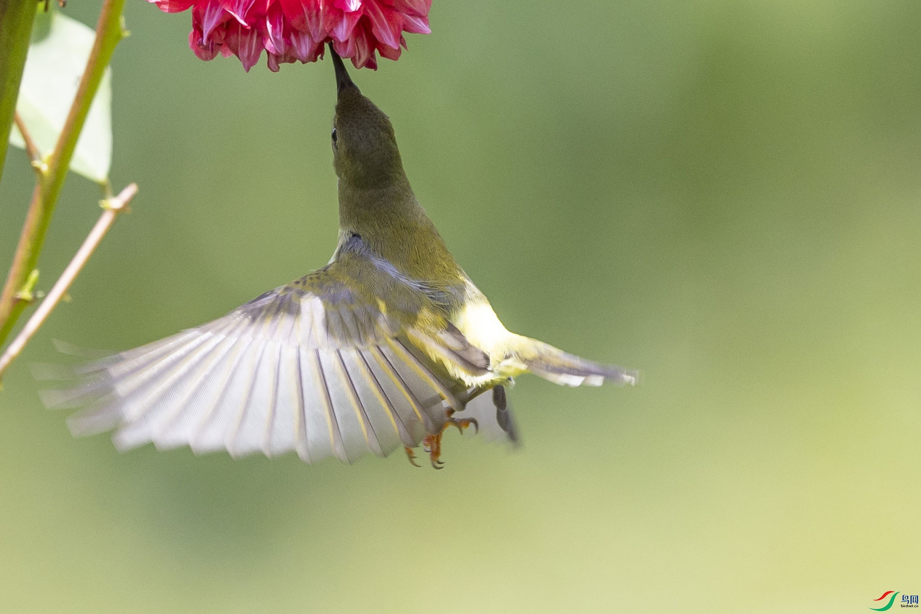 ����̫����06