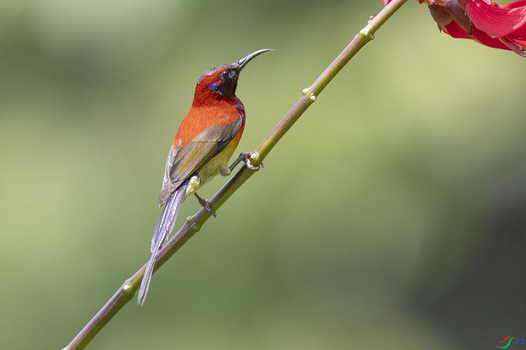 ����̫����16