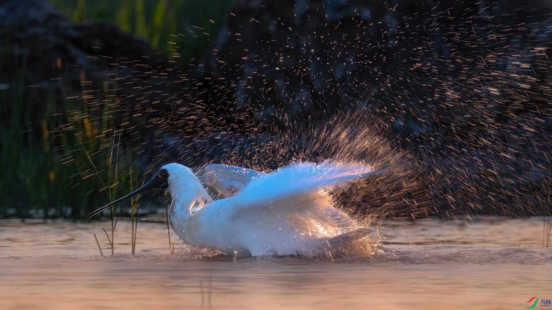 _DSC3355-1xx.jpg
