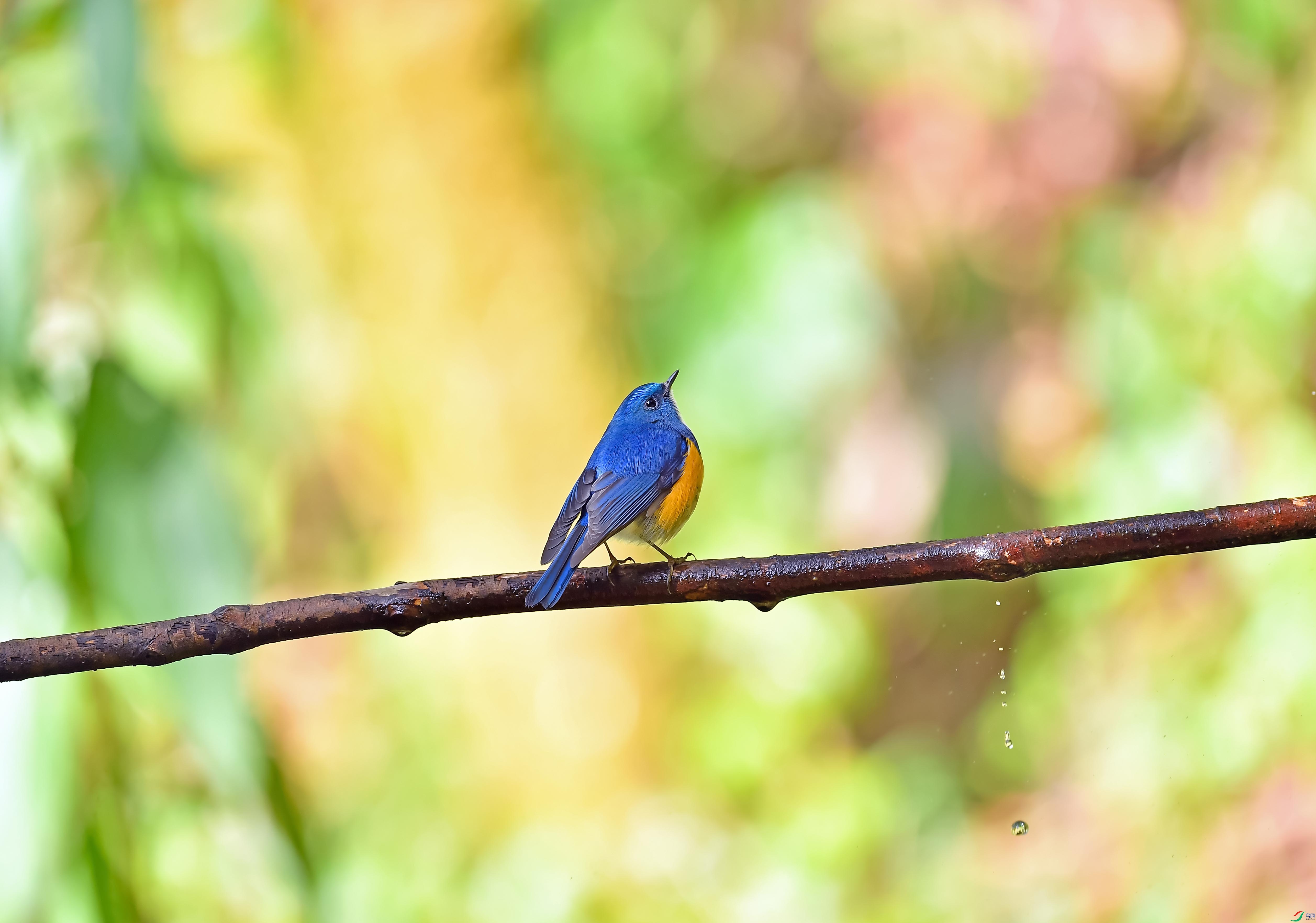 DSC_54260.jpg