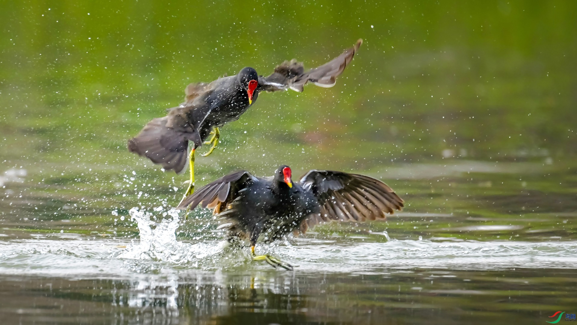 1_XXL7668-1-1 2.jpeg