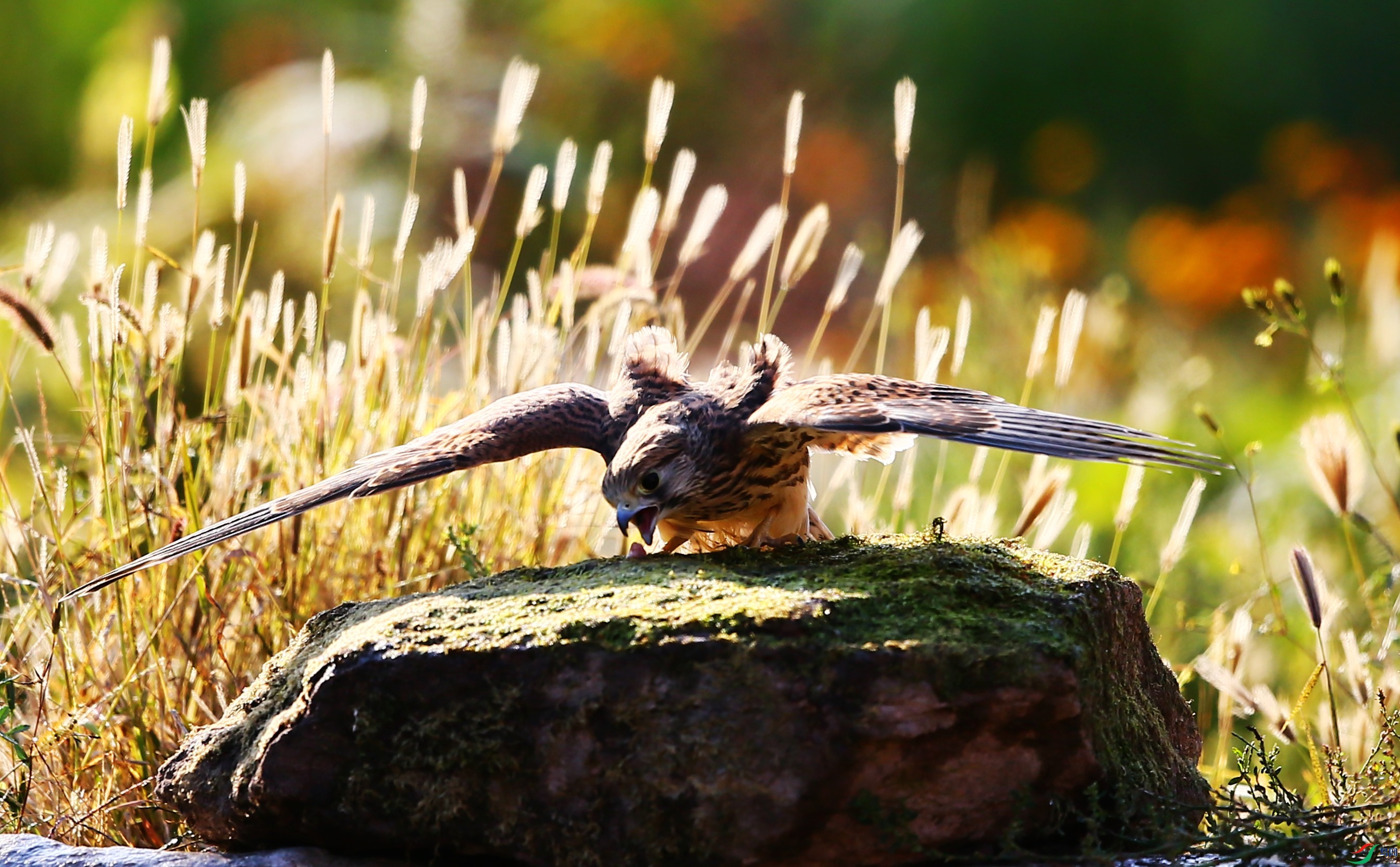 ����  (33).JPG