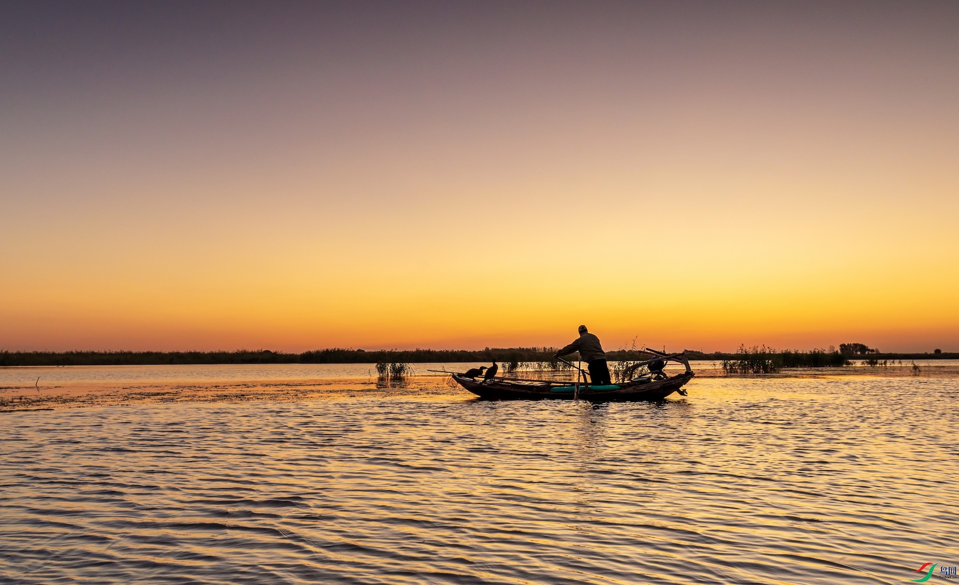 1_XXL8110 ����.jpeg