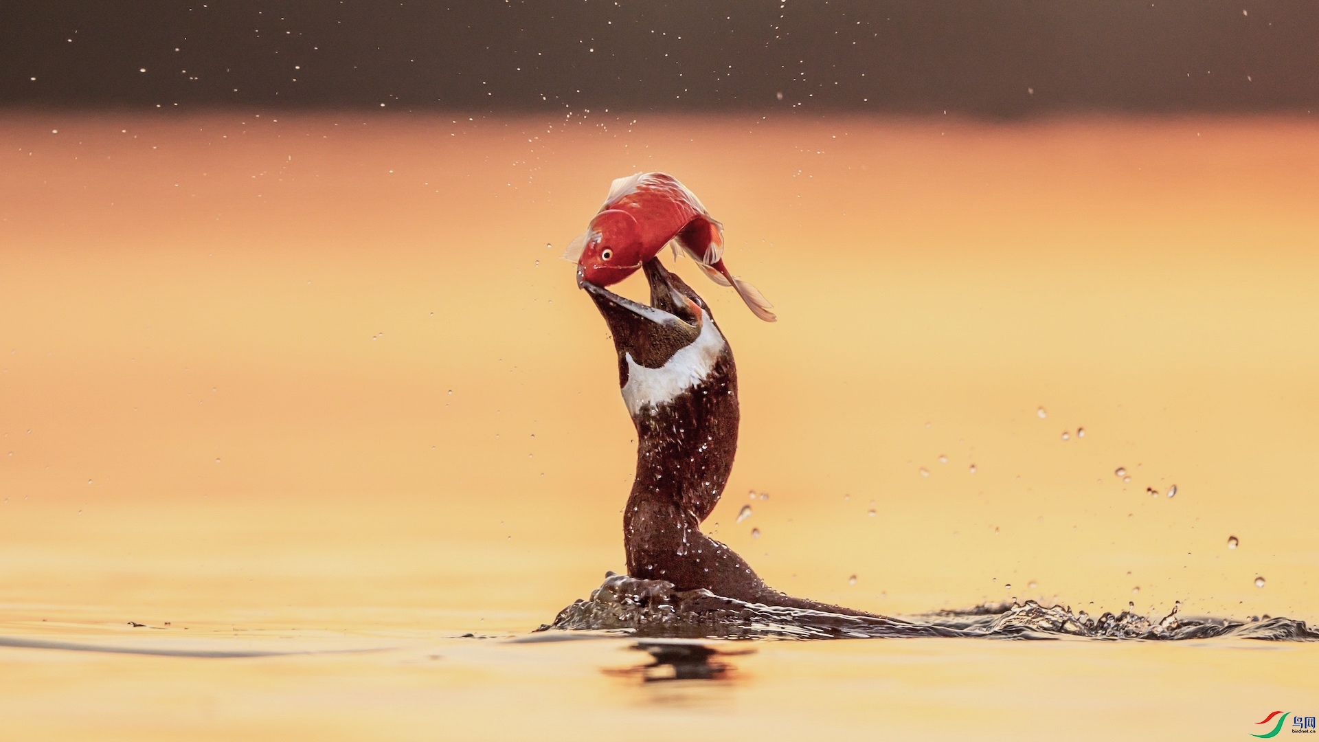 1-4�ĸ��� ����.jpeg