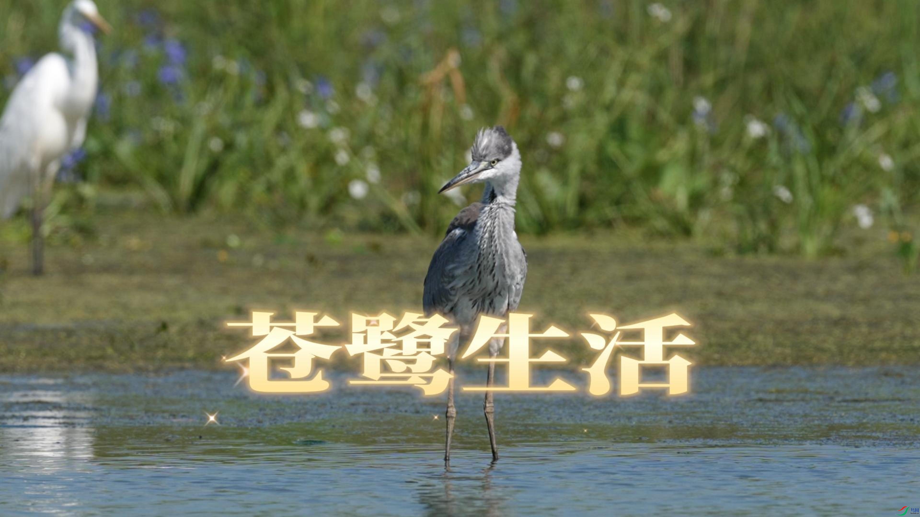 9��28�� (1)-����.jpg