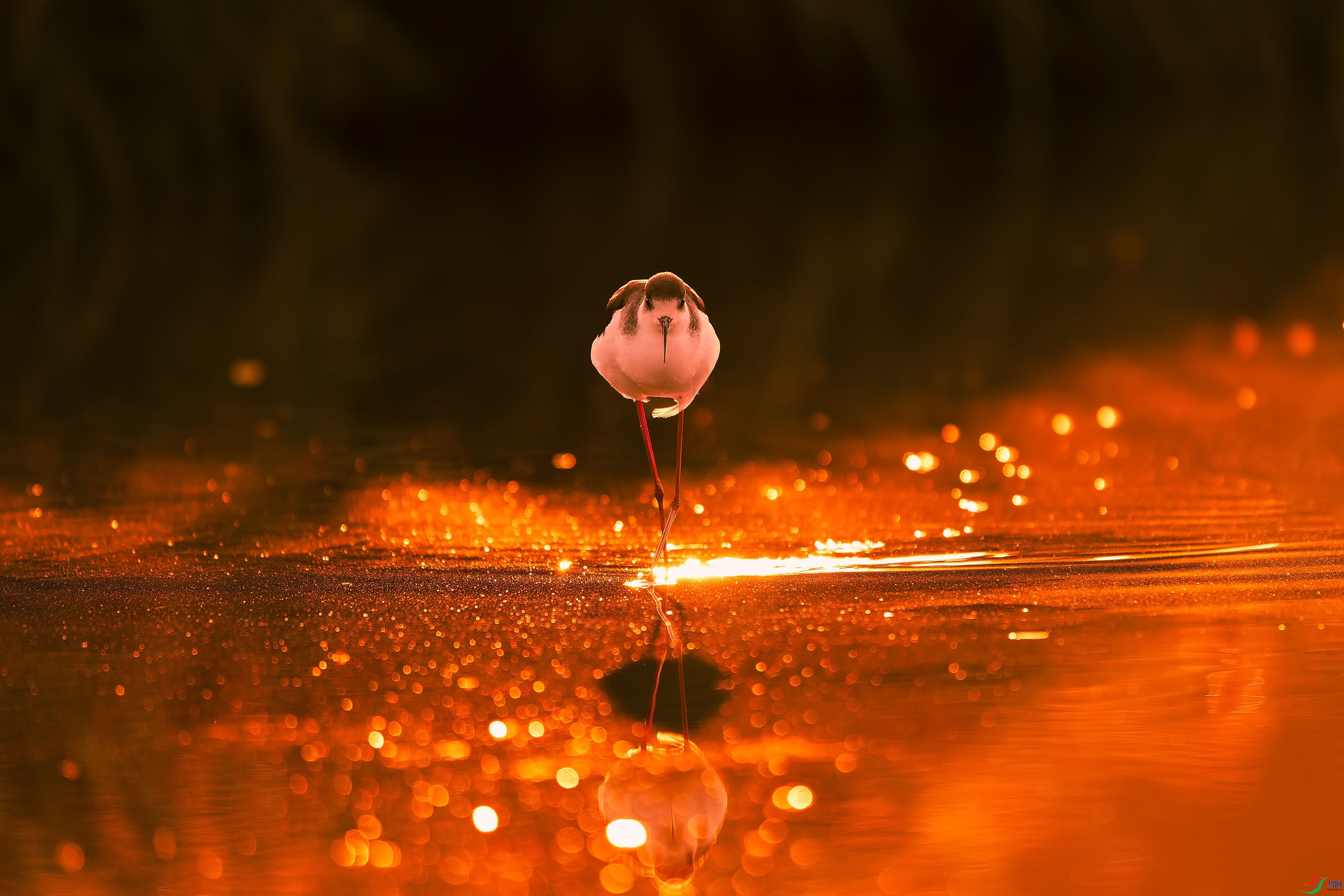 _DSC7591 ���� 2����.jpg