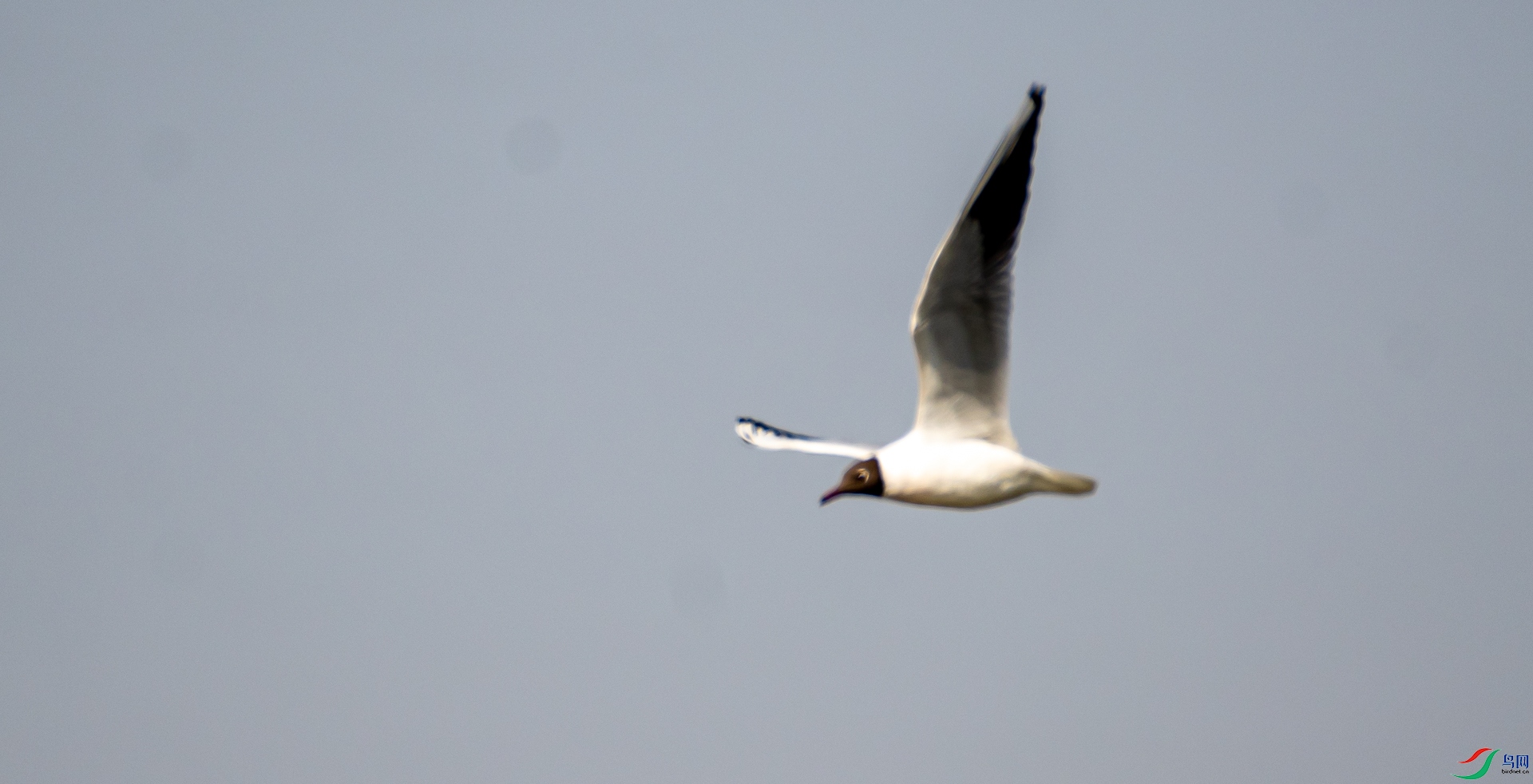 DSC_6336.jpg