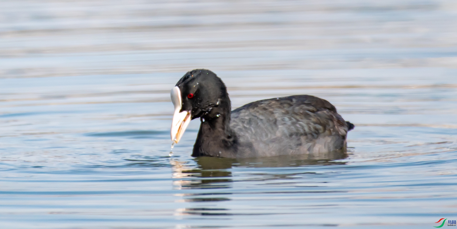 DSC_6184.jpg