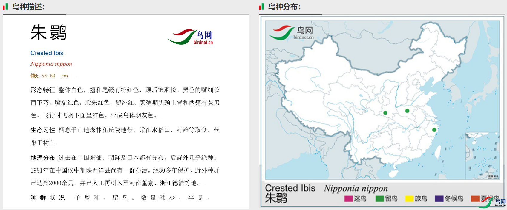 e9a325f006076fcfdd594ac183ac5b4.png