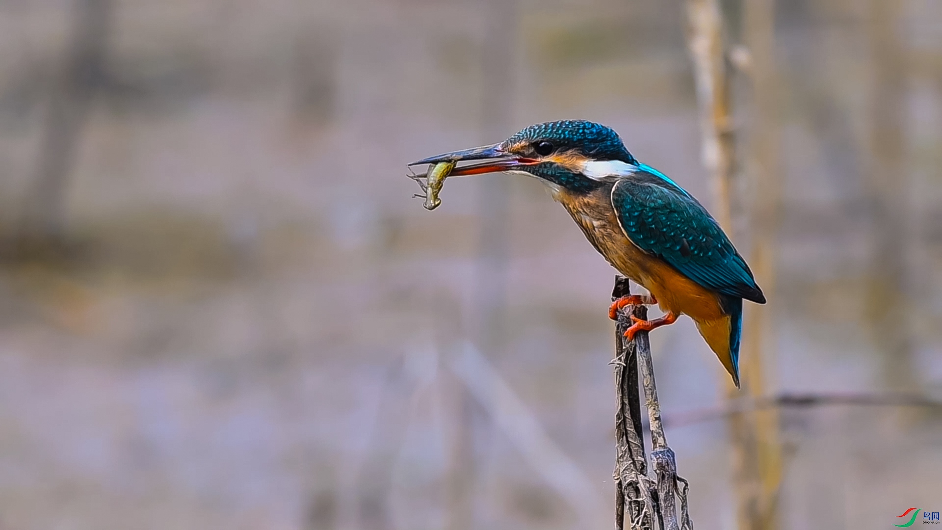 ������Ĵ��� ����.jpg