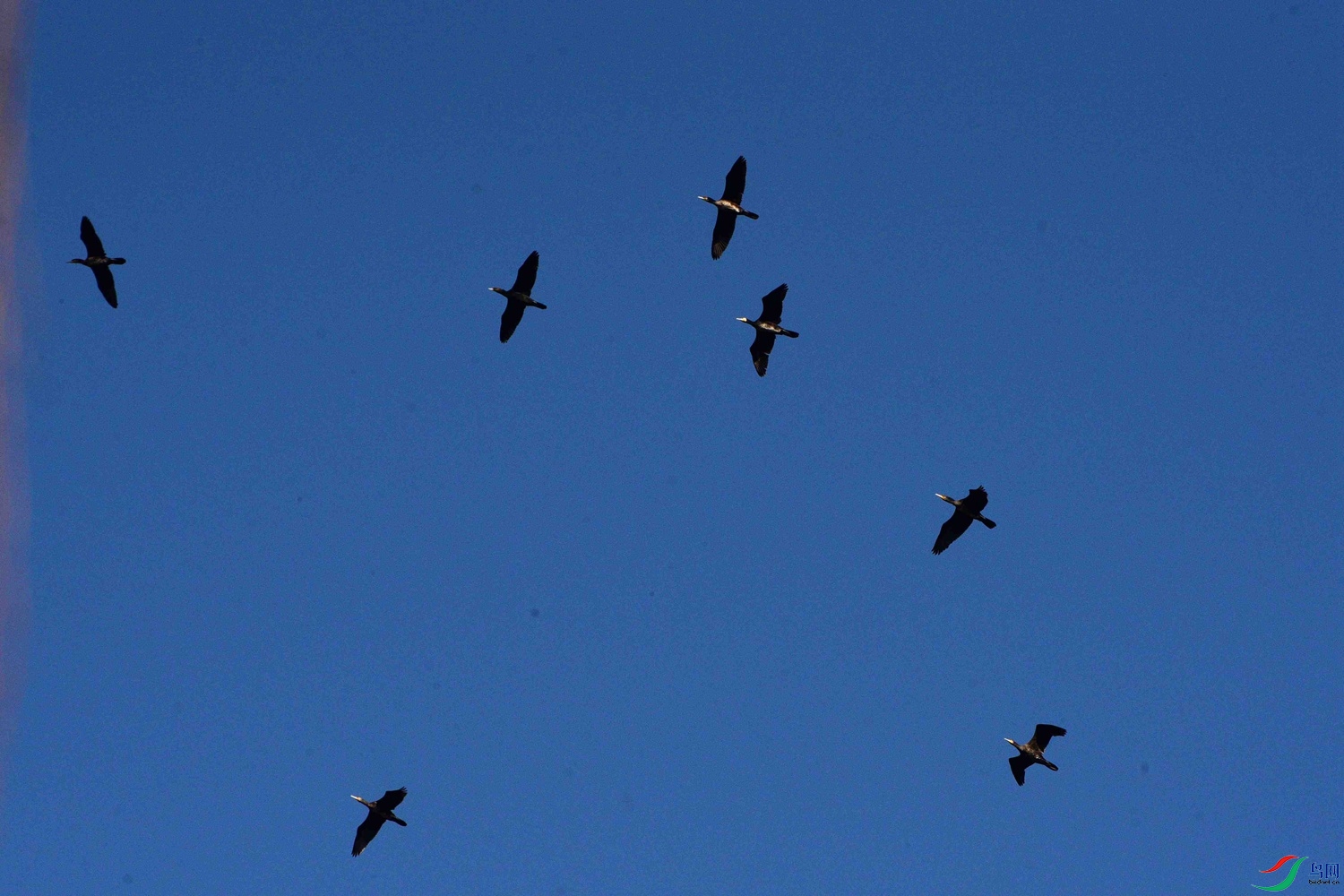DSC_0177.JPG