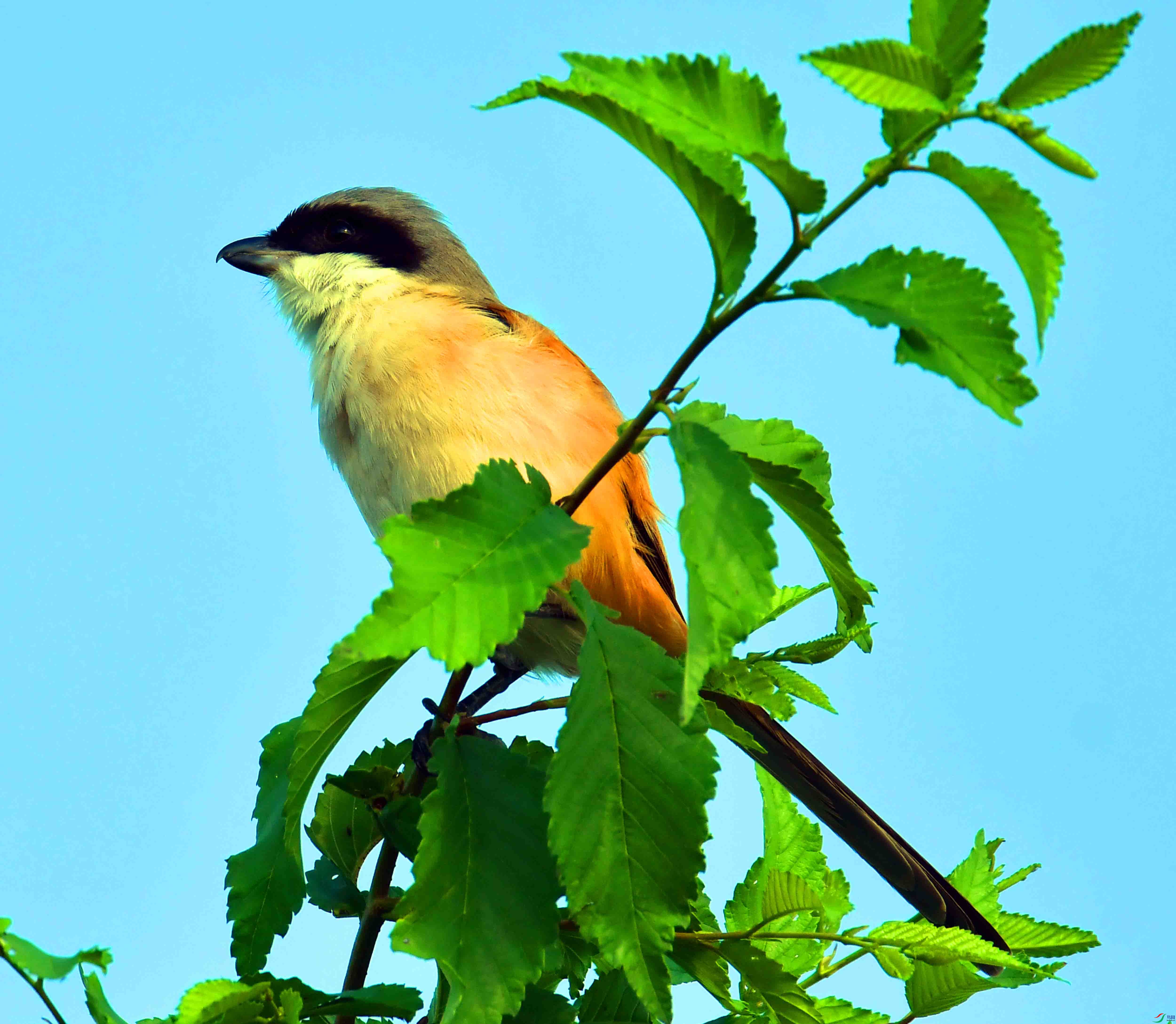 DSC_5069.JPG
