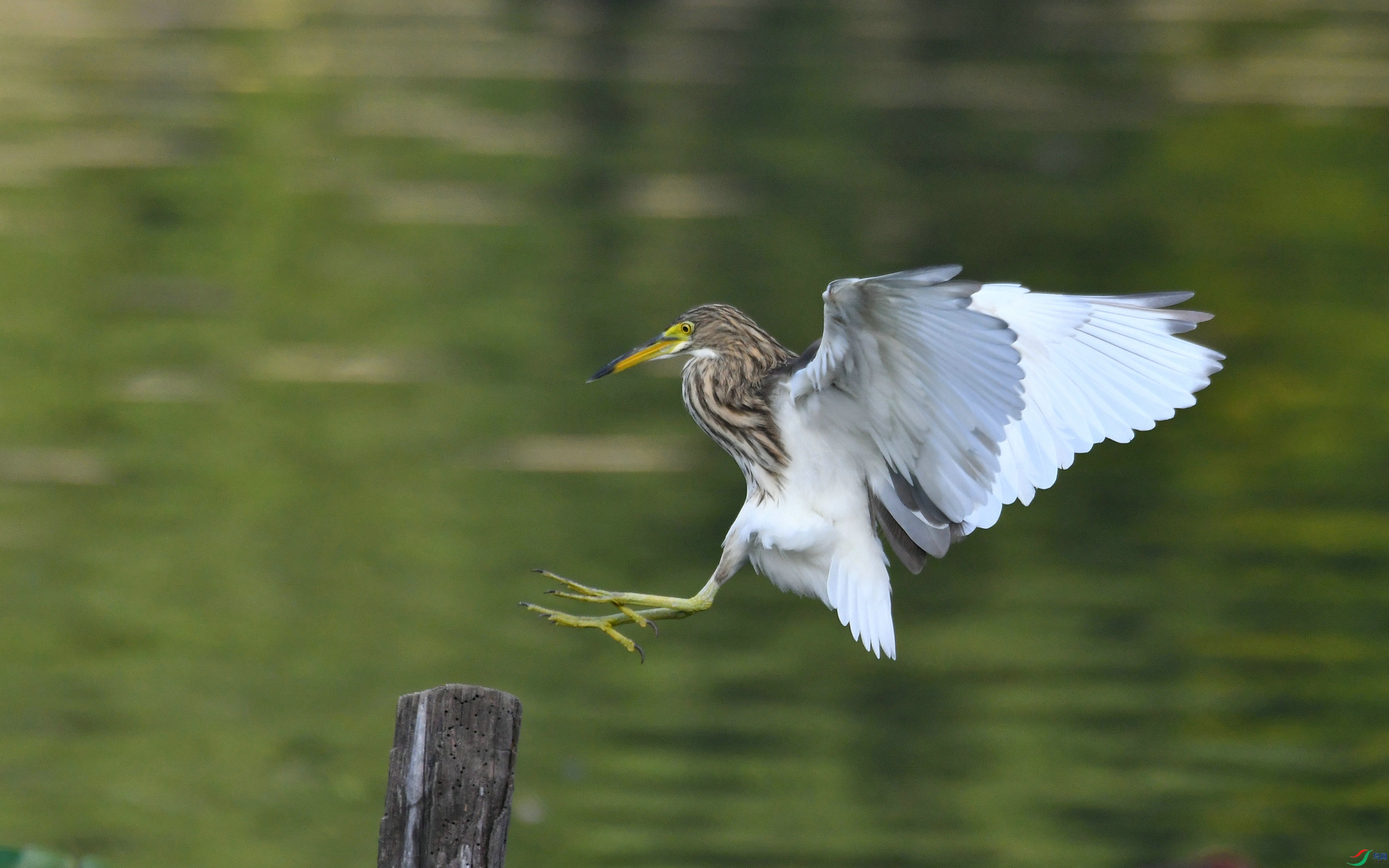 DSC_2492.JPG