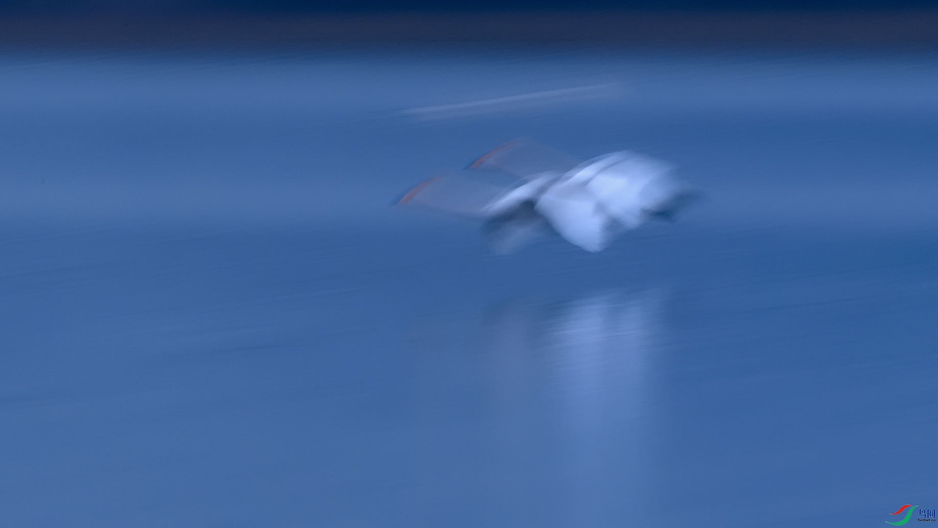 DSC_5716_DxOa.jpg