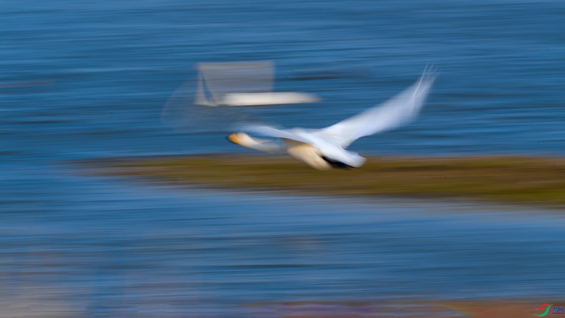 DSC_5146_DxOa.jpg