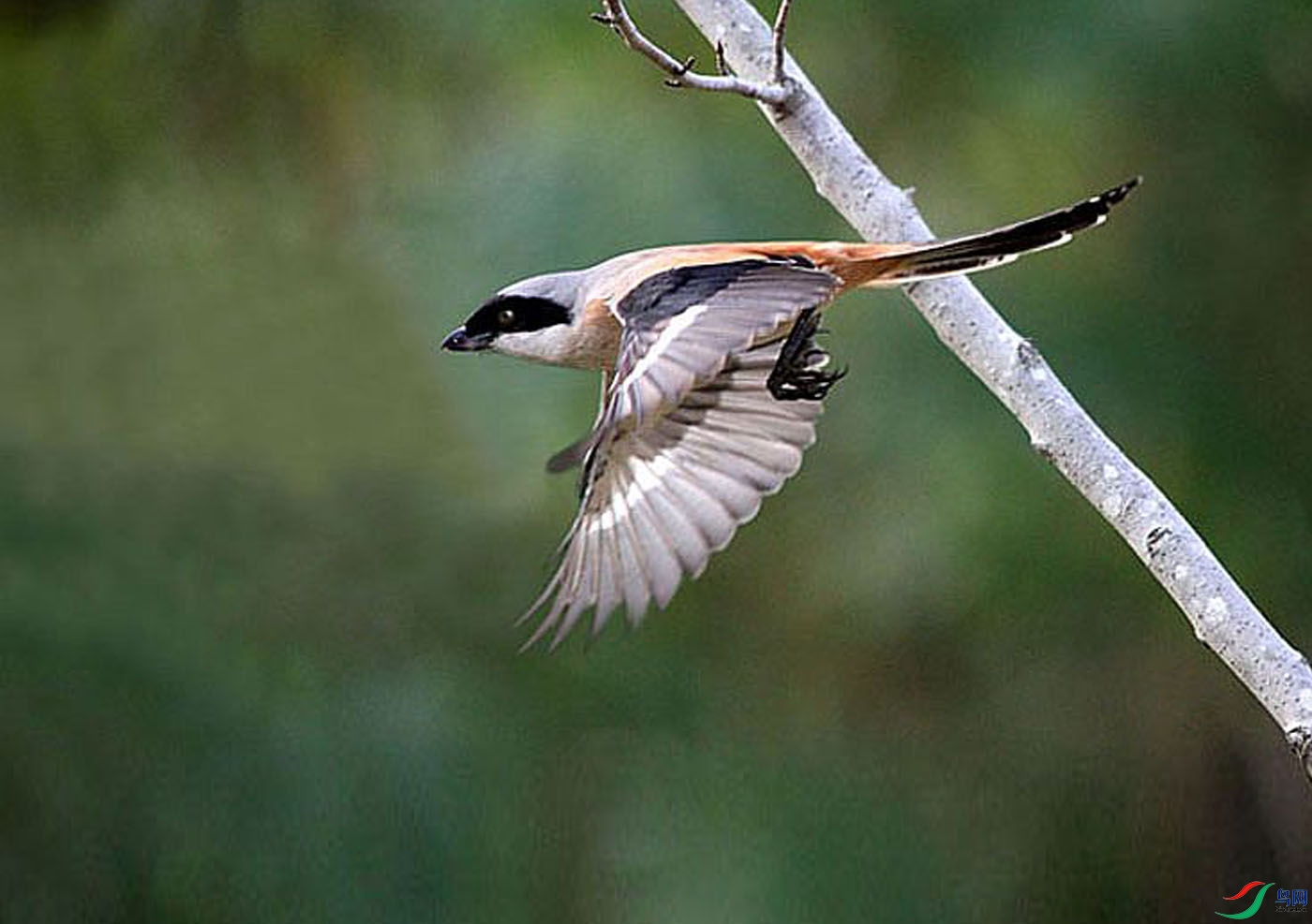 15-�� ��.jpg